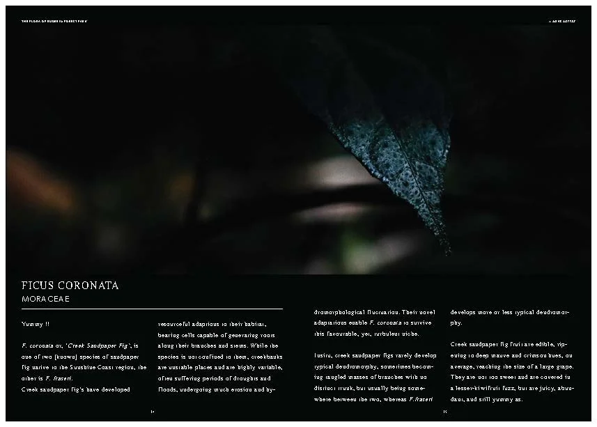 DES212 - TASK 2 - THE FUTURE OF PRINT - MARLEY POLOWYJ-STEPHEN - 1096267_Page_49.jpg