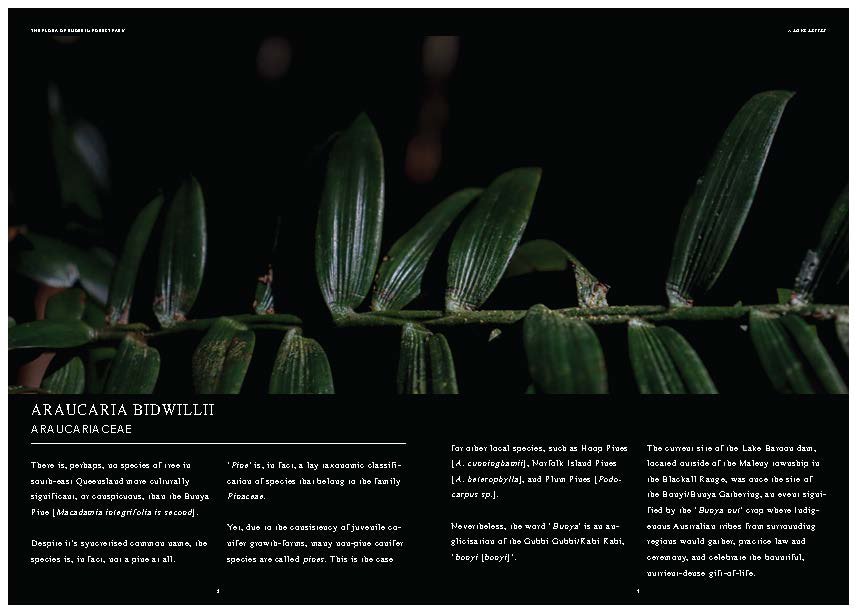 DES212 - TASK 2 - THE FUTURE OF PRINT - MARLEY POLOWYJ-STEPHEN - 1096267_Page_46.jpg