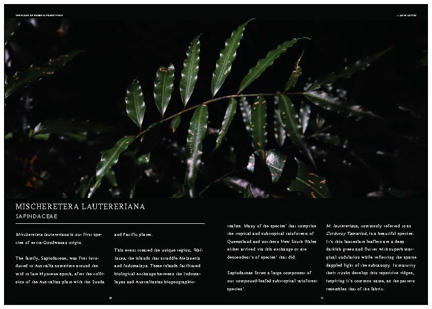 DES212 - TASK 2 - THE FUTURE OF PRINT - MARLEY POLOWYJ-STEPHEN - 1096267_Page_47.jpg