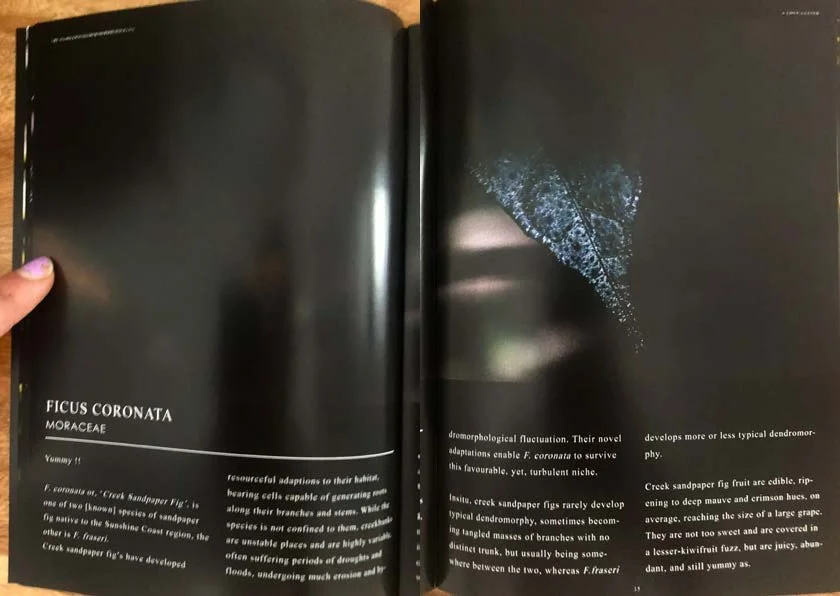 DES212 - TASK 2 - THE FUTURE OF PRINT - MARLEY POLOWYJ-STEPHEN - 1096267_Page_15.jpg