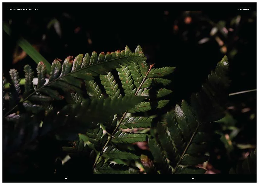 DES212 - TASK 2 - THE FUTURE OF PRINT - MARLEY POLOWYJ-STEPHEN - 1096267_Page_62.jpg