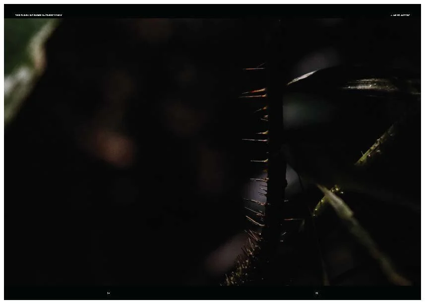 DES212 - TASK 2 - THE FUTURE OF PRINT - MARLEY POLOWYJ-STEPHEN - 1096267_Page_58.jpg