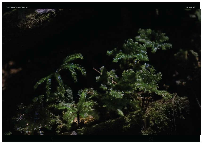 DES212 - TASK 2 - THE FUTURE OF PRINT - MARLEY POLOWYJ-STEPHEN - 1096267_Page_68.jpg