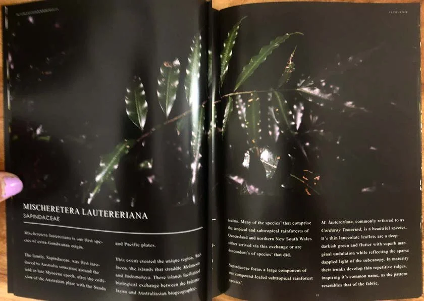 DES212 - TASK 2 - THE FUTURE OF PRINT - MARLEY POLOWYJ-STEPHEN - 1096267_Page_13.jpg