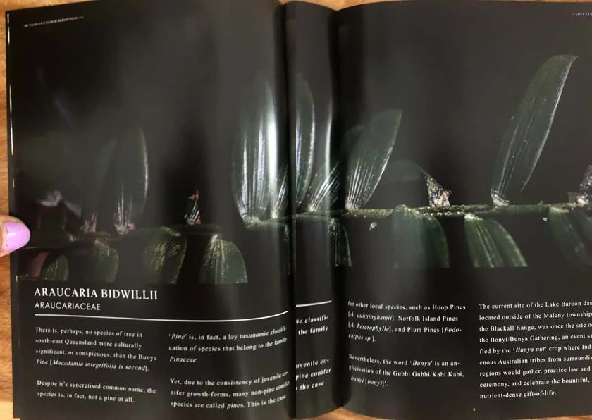 DES212 - TASK 2 - THE FUTURE OF PRINT - MARLEY POLOWYJ-STEPHEN - 1096267_Page_12.jpg