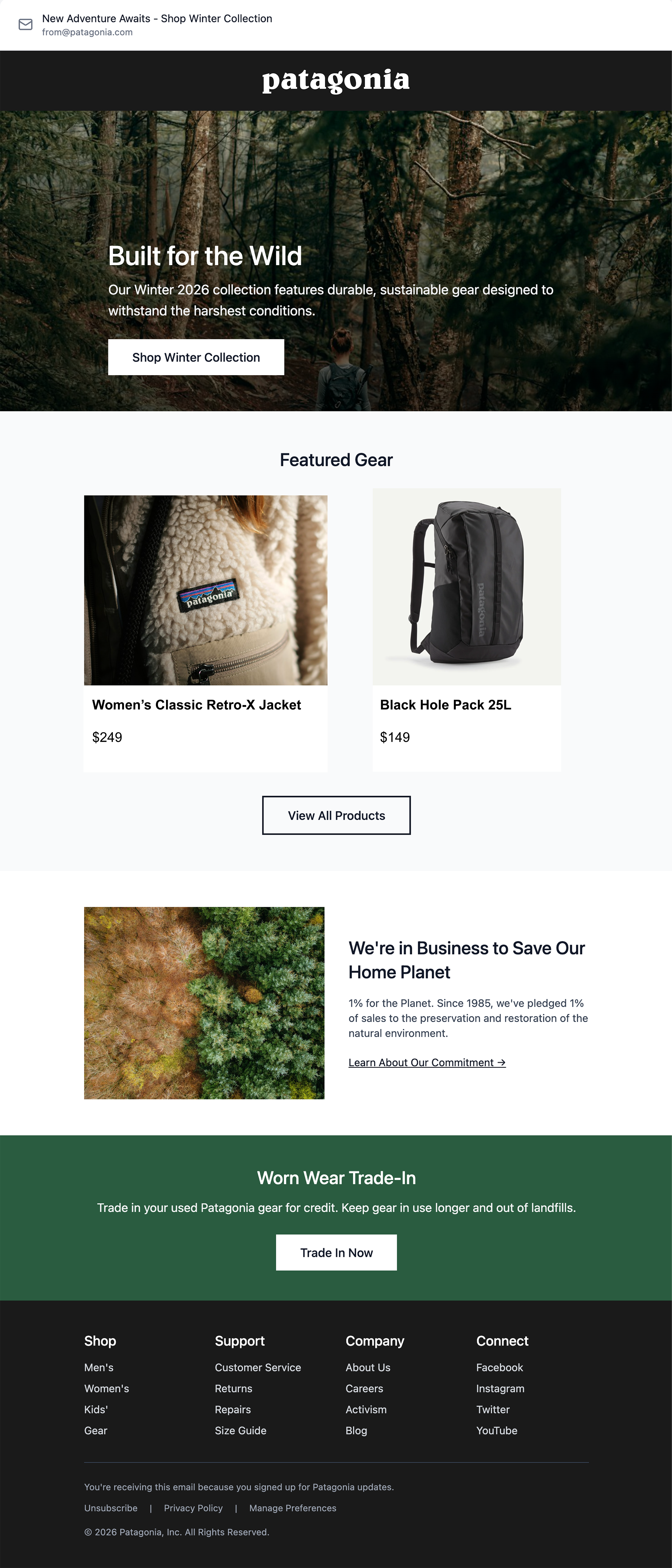 Patagonia Email Design