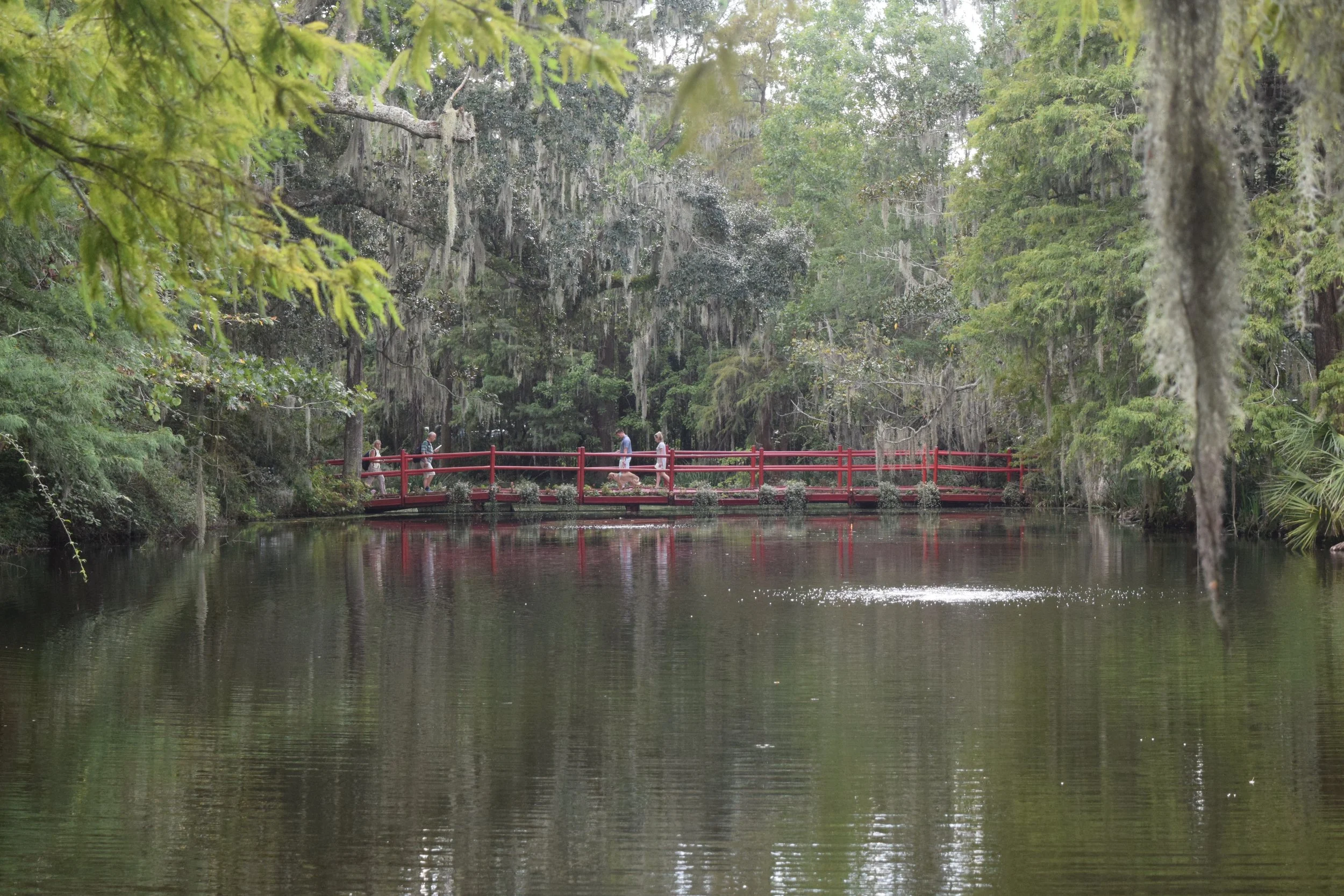 DSC_1096.JPG
