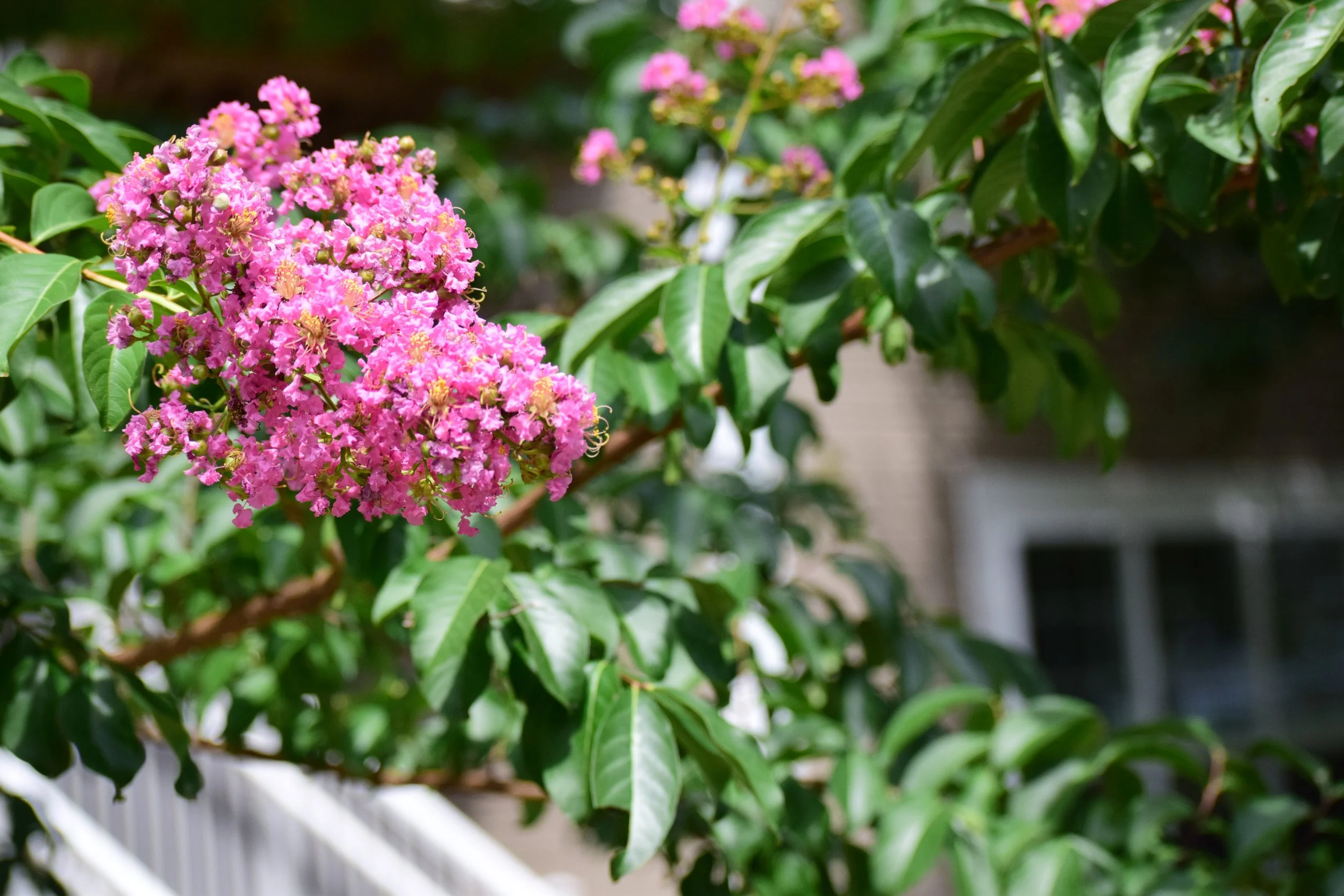 DSC_1723.JPG