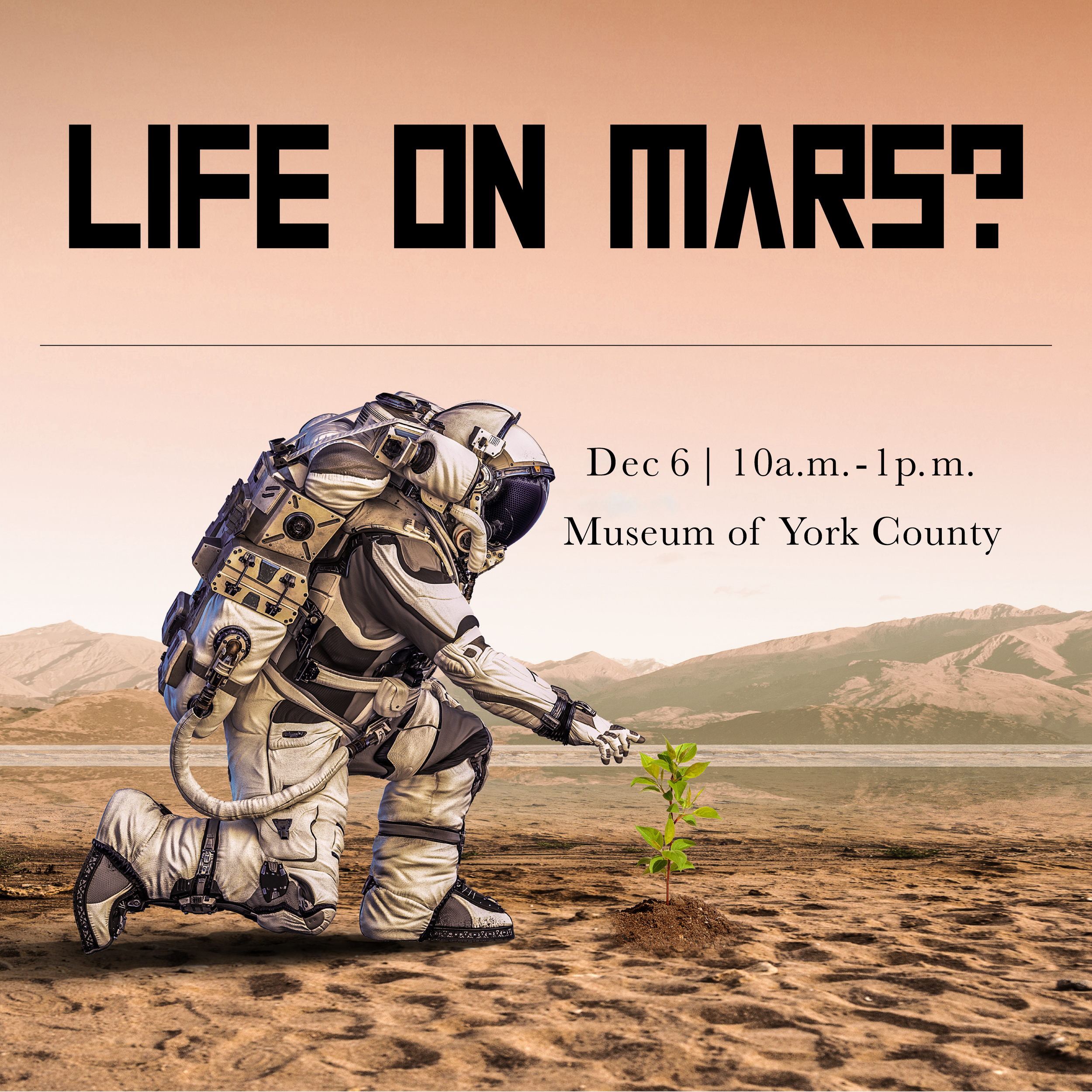Life on Mars