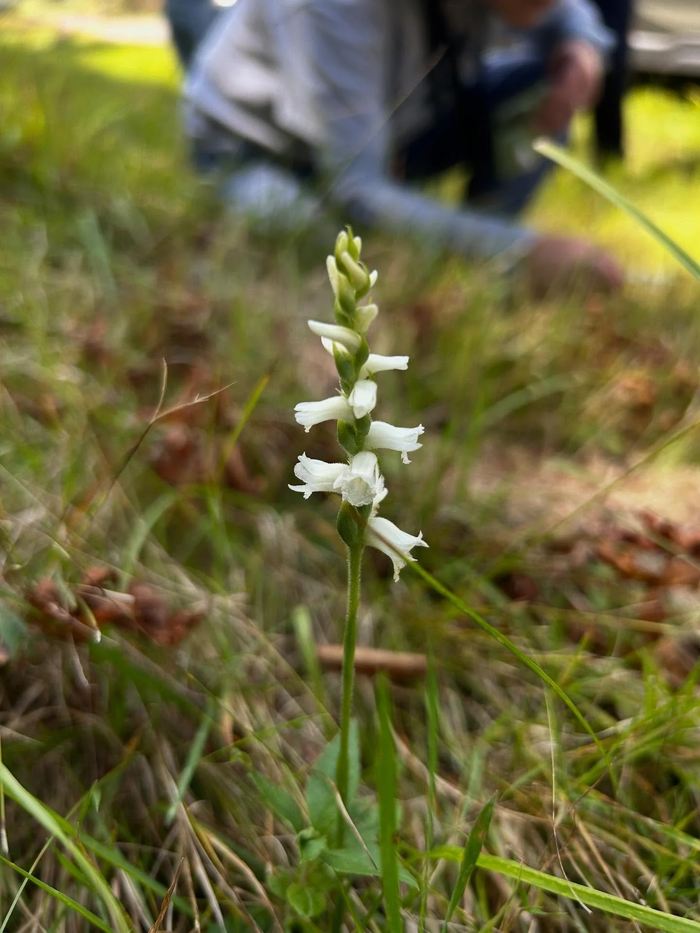 The last couple months of 2025 have been less than ideal, to say the least. 

What can we do but to keep on? I&rsquo;m not dead, and I&rsquo;ve got shit to do. Since January of 2024, I&rsquo;ve moved 5 times and will move again, at least twice, in th