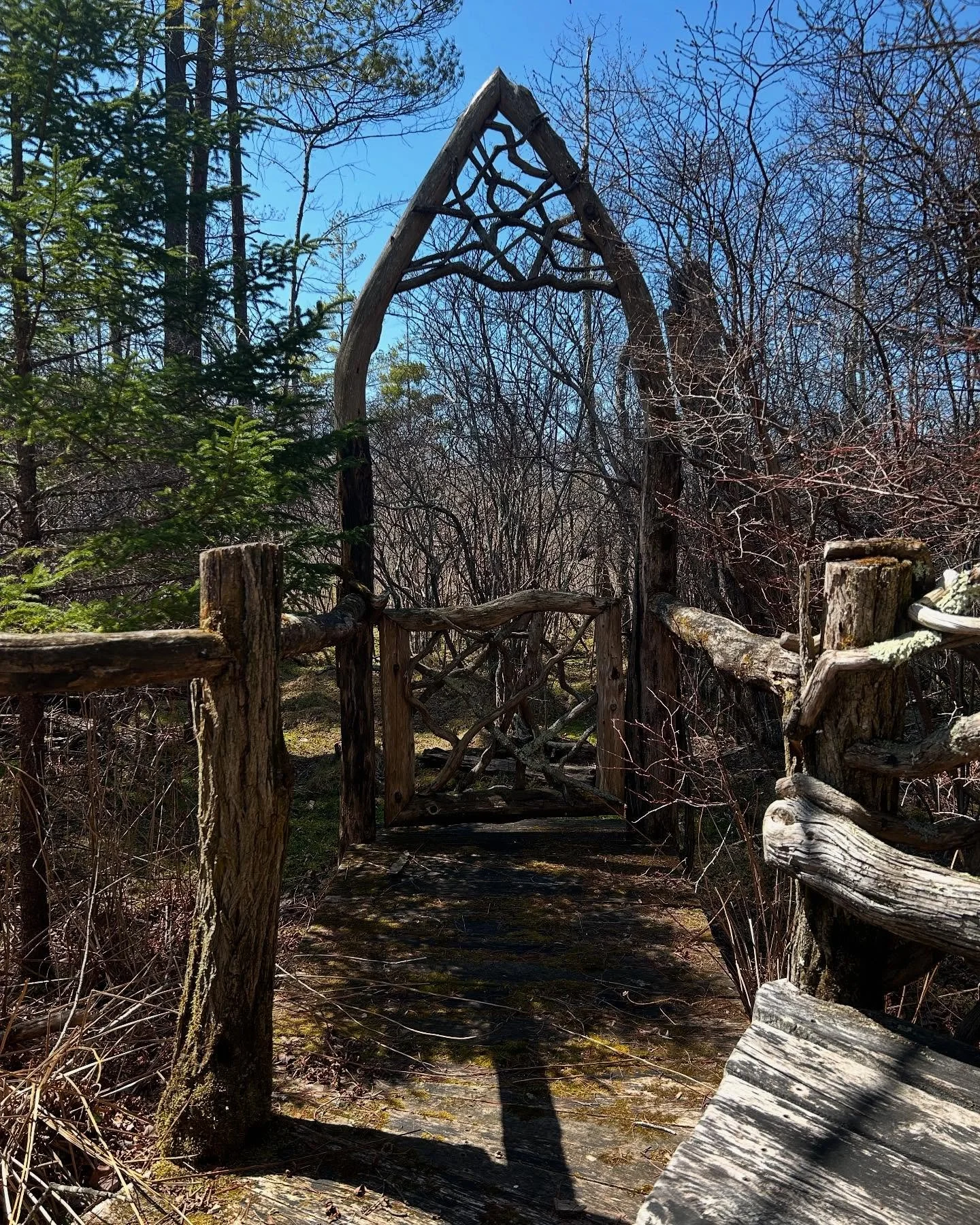 I&rsquo;ve been quiet on here lately, but I&rsquo;ve been thinking about posting some sort of update since we&rsquo;re now just past the solstice. 

I have another couple of months upstate and already know I will be sad to see this little chapter end