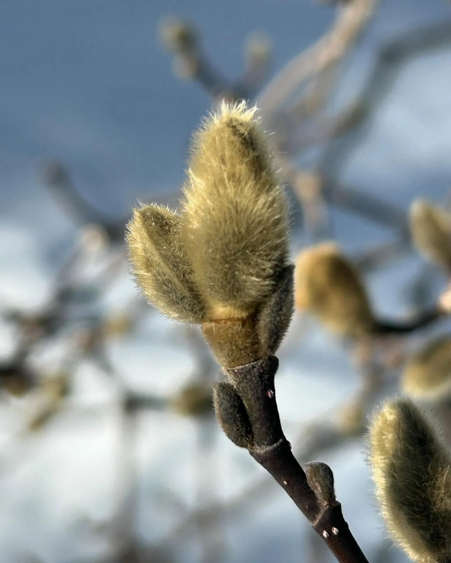 Some people don&rsquo;t like winter?!?