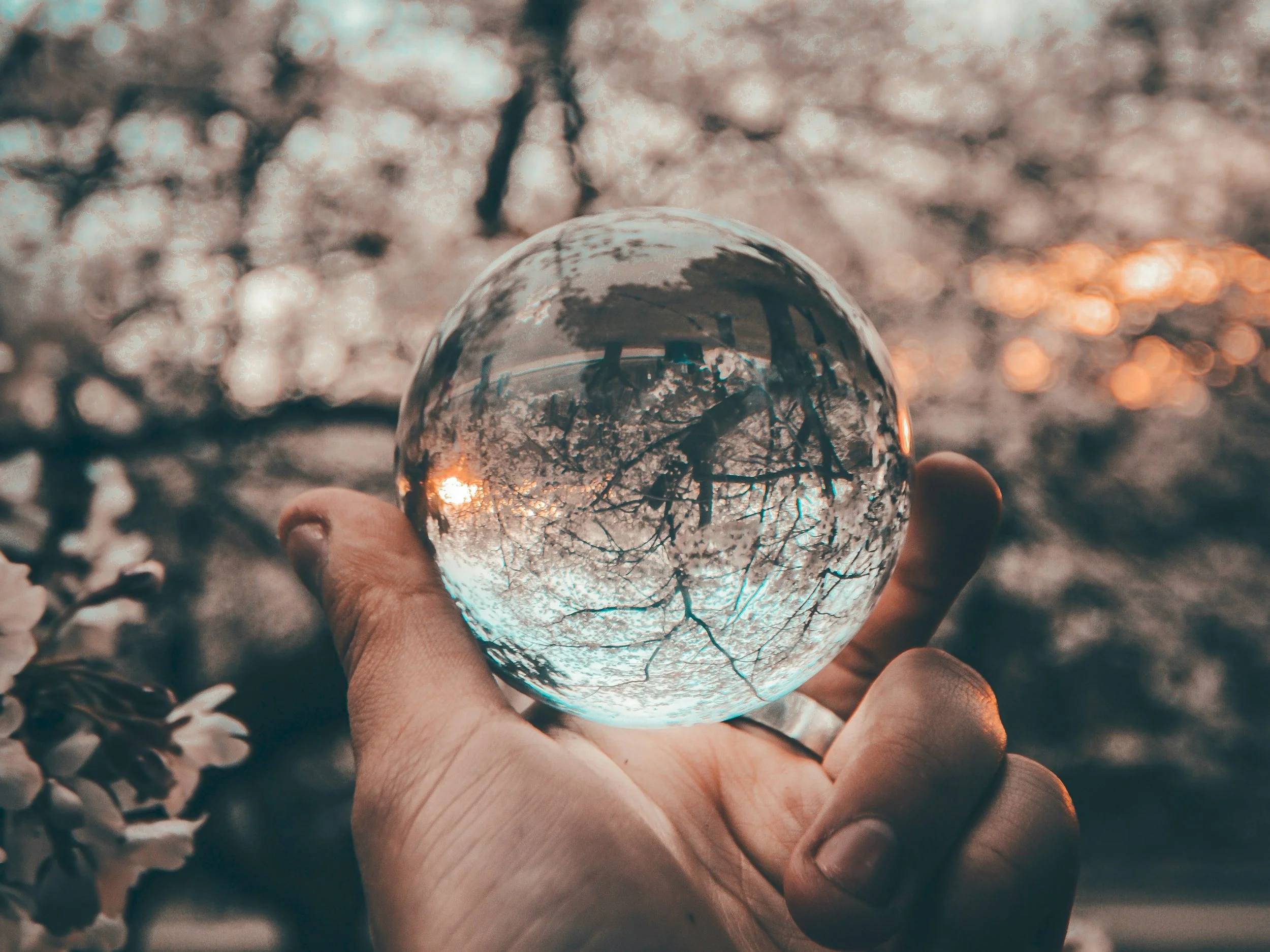 Person holding a clear glass sphere reflecting branches of a tree and the sky during sunset.