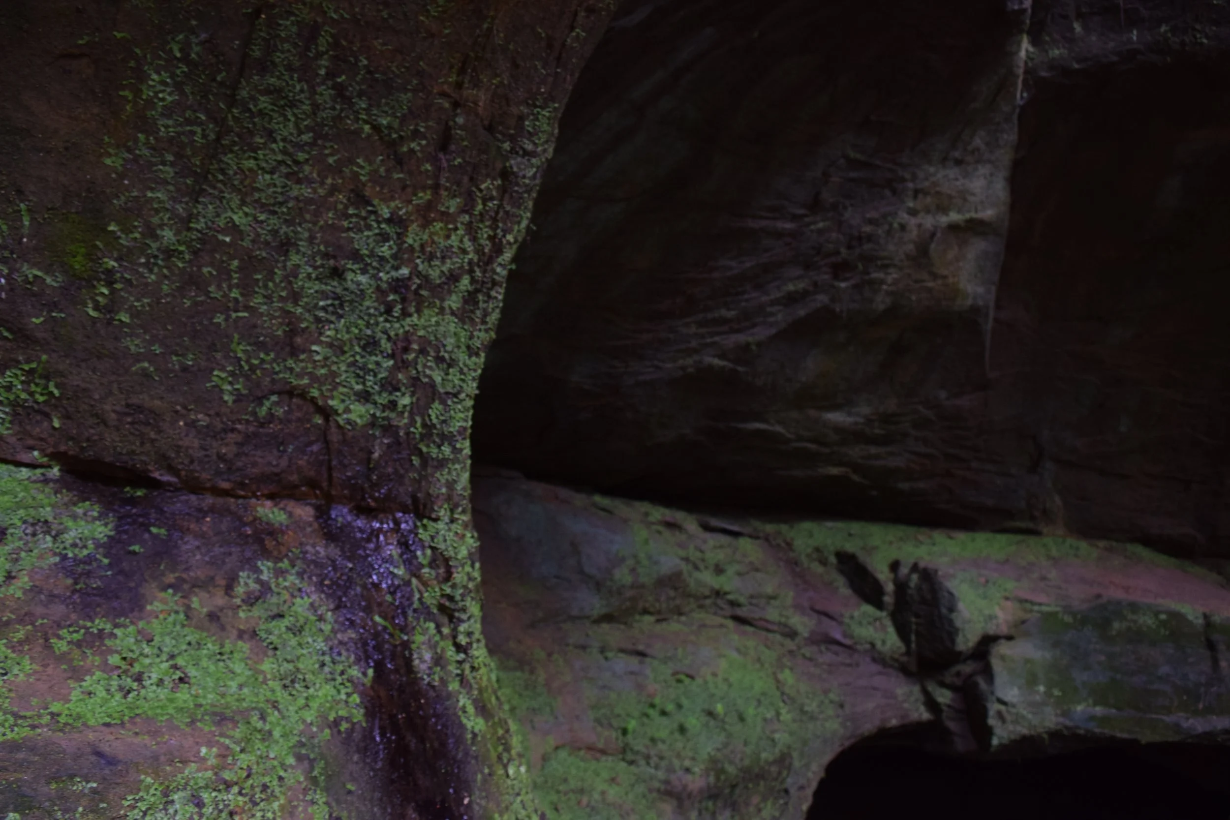 50Mburmeister_Project 2.JPG