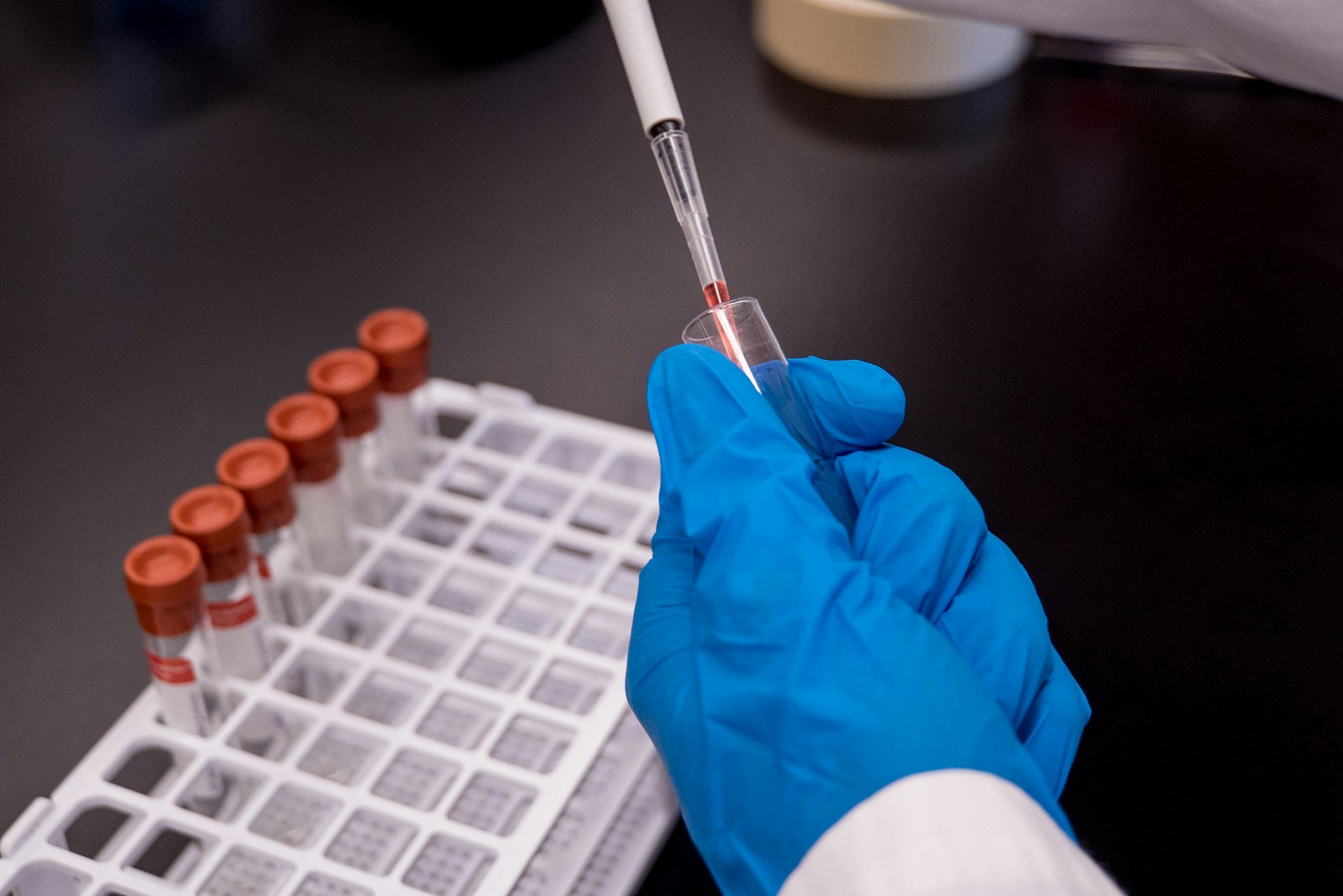 Lab test tubes