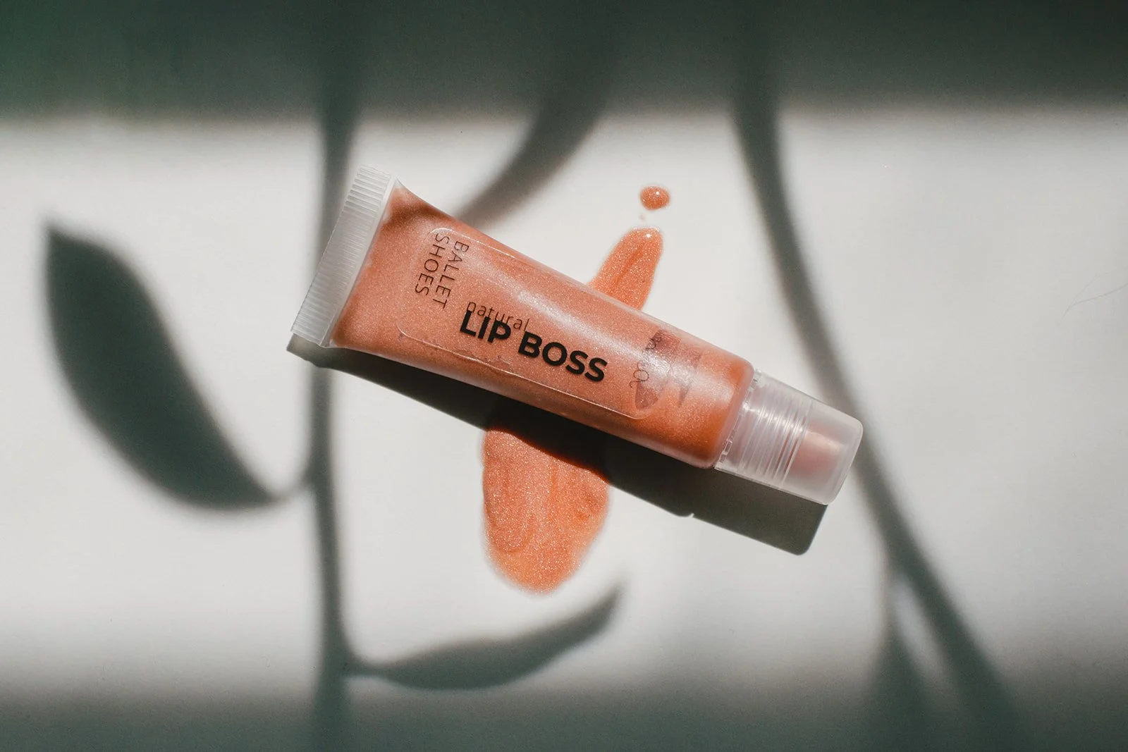 LipBossBalletShoes1.jpg