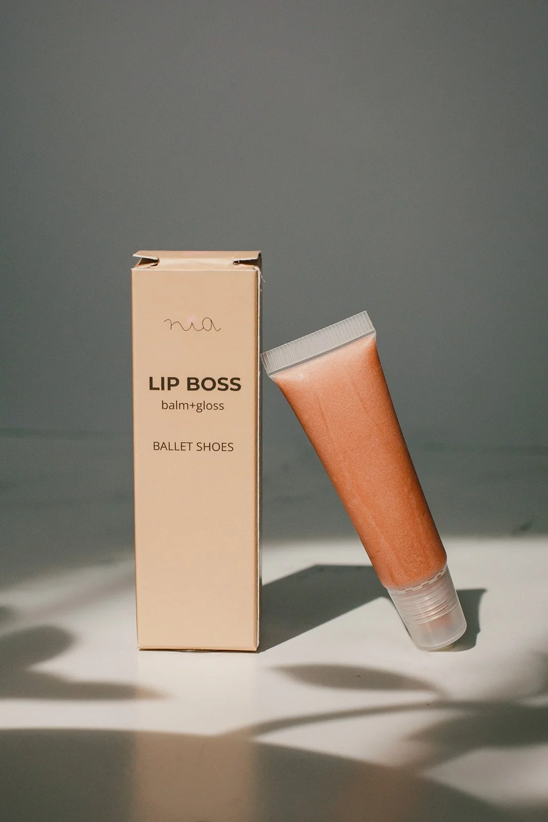 LipBossBalletShoes.jpg