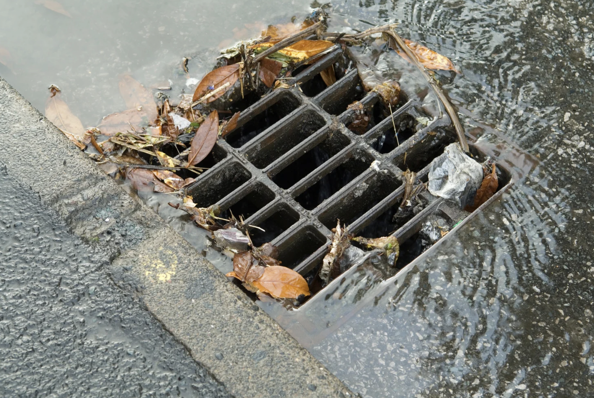 Stormwater Reports vs General Building Reports: What Melbourne Property Owners Must Know