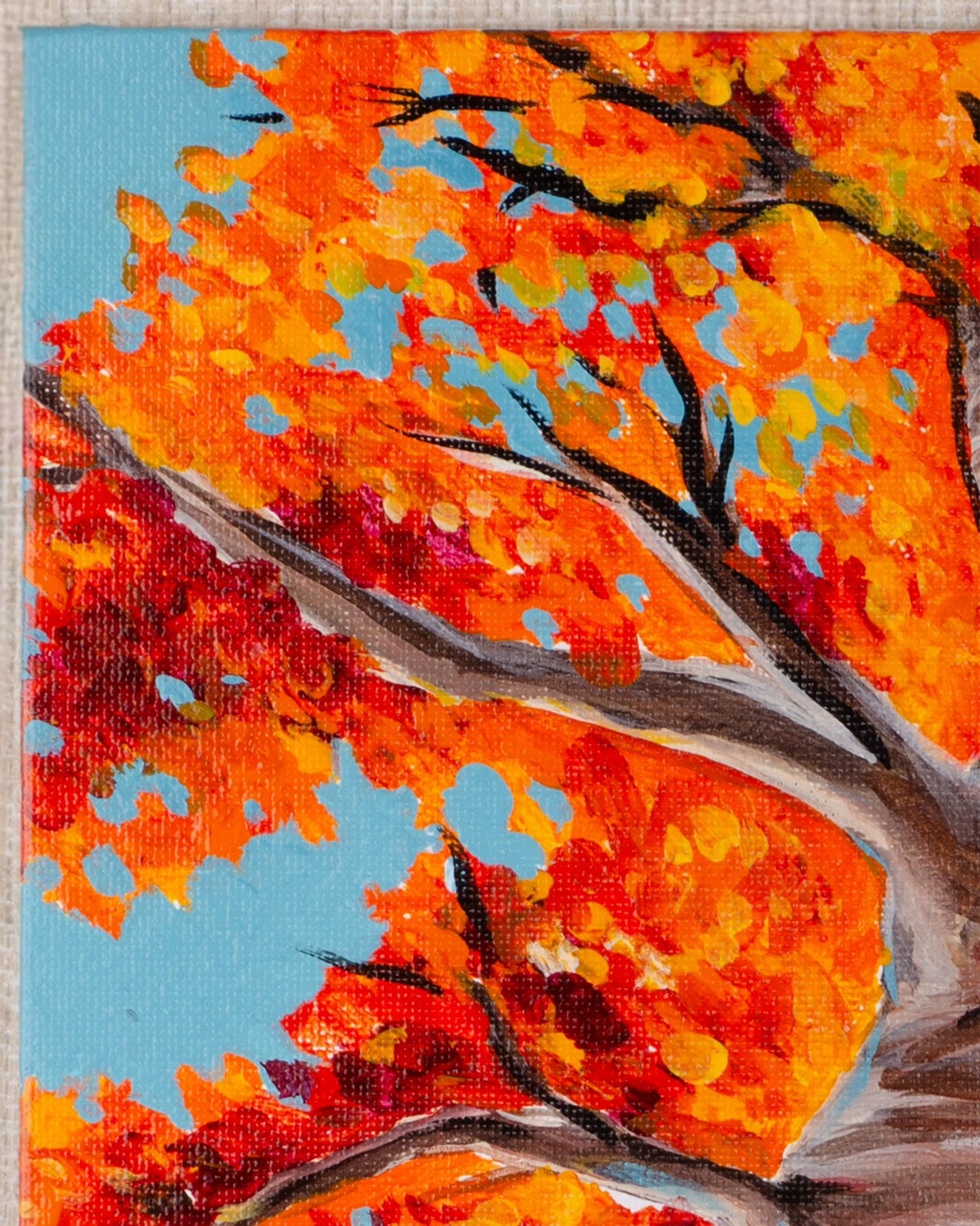 Up the tree closeup2.jpg