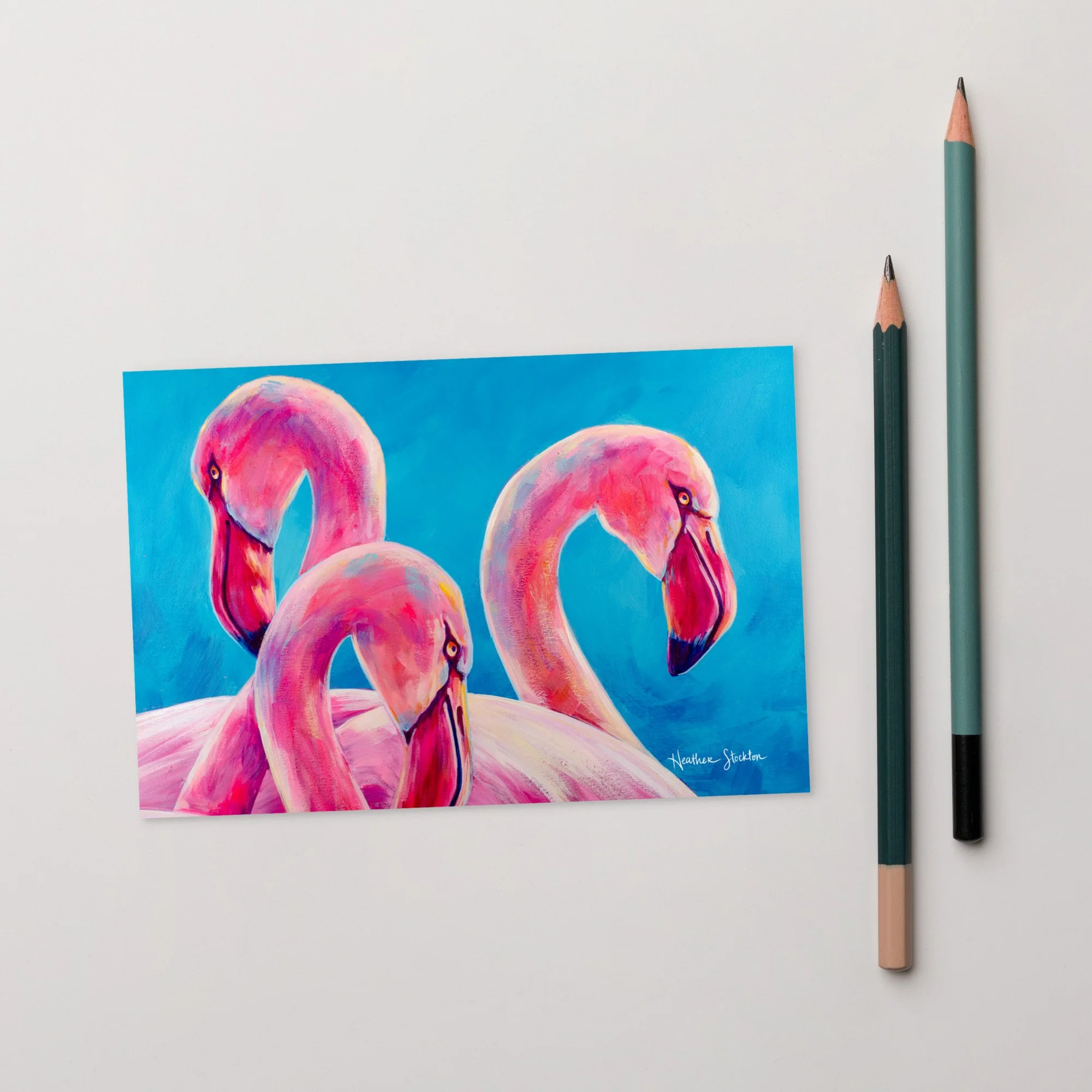"Flamingo Trio" Postcard