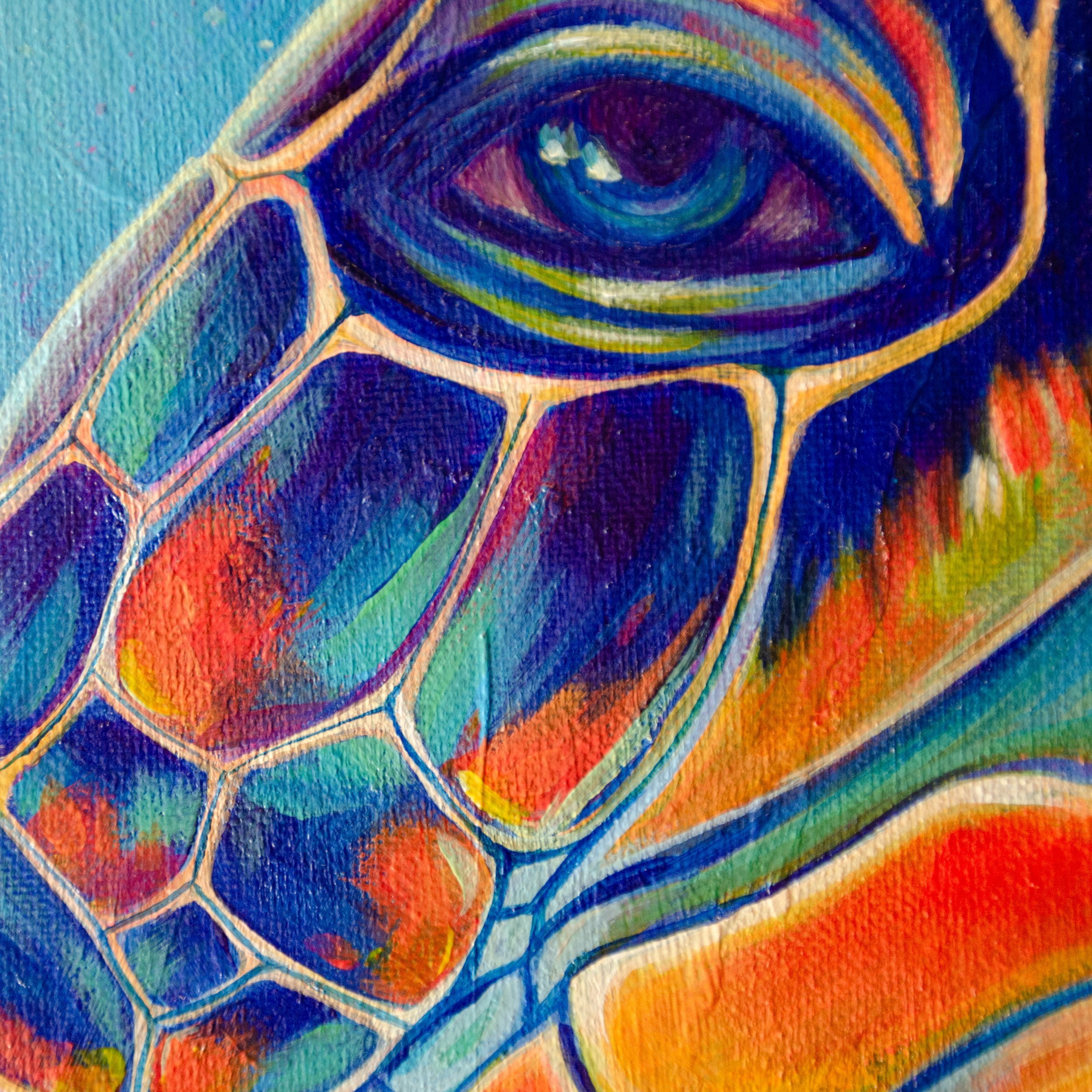 Seaturtle Closeups_2.jpg