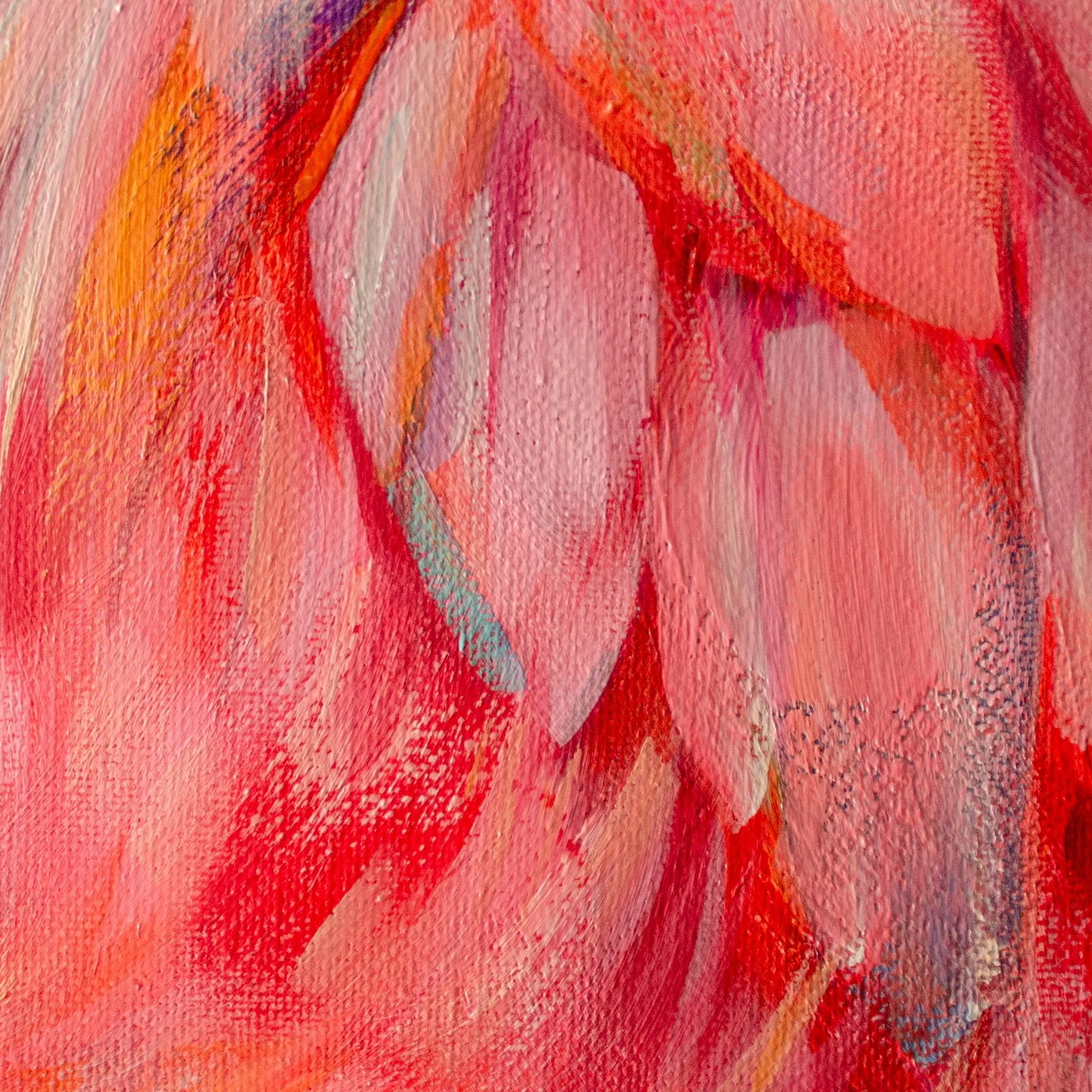 Sunset FlamingoCloseups_3.jpg