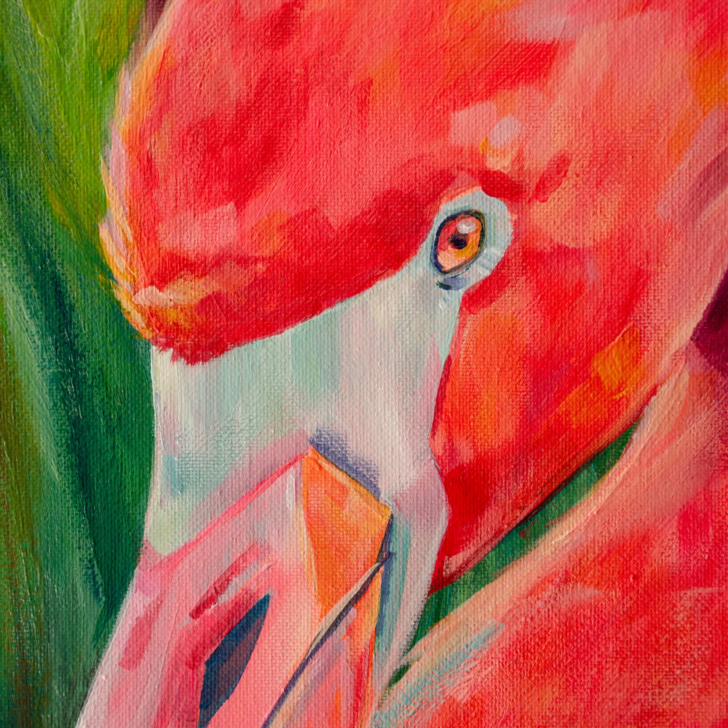 Sunset FlamingoCloseups_1.jpg