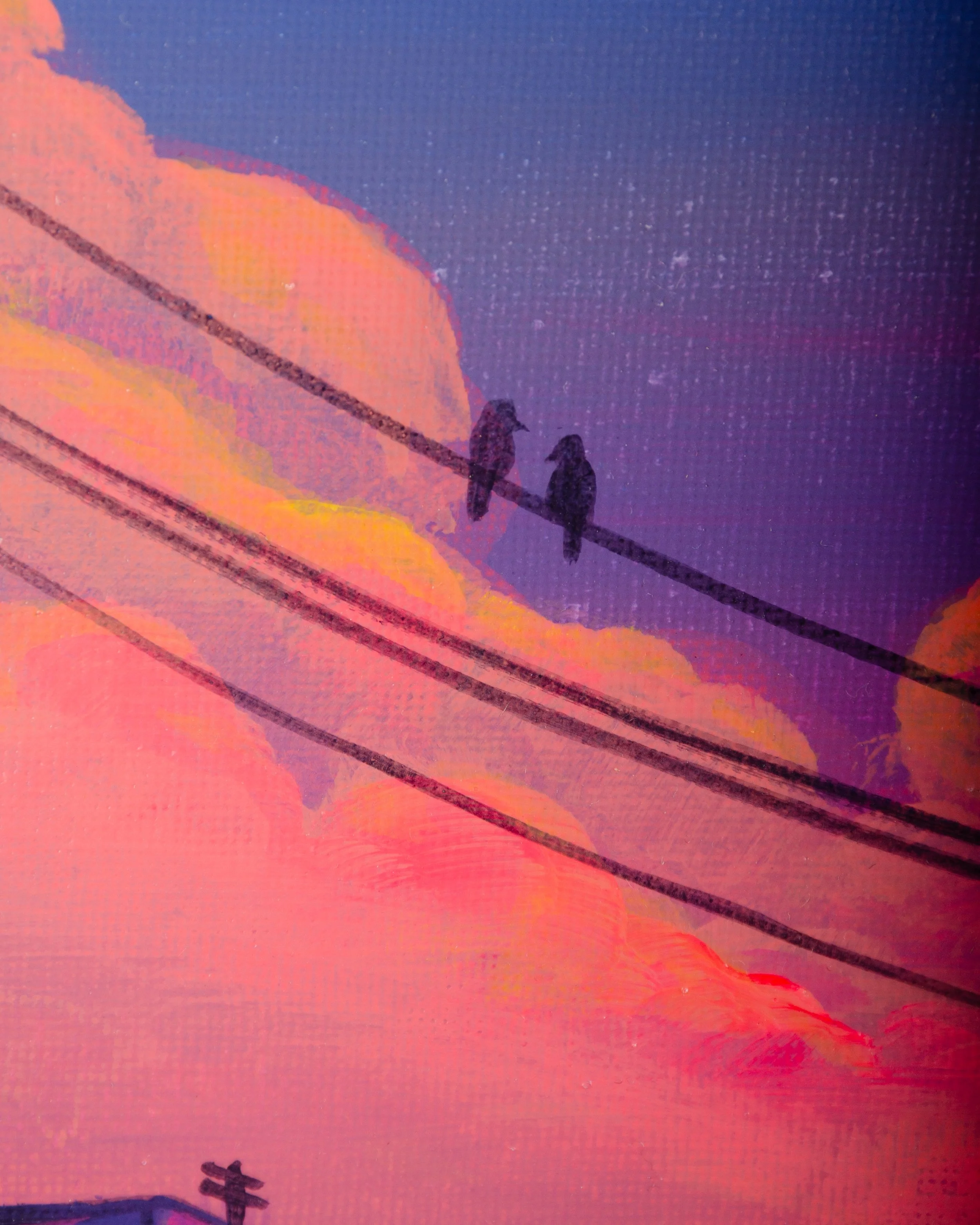 Sunset City Closeups.jpg