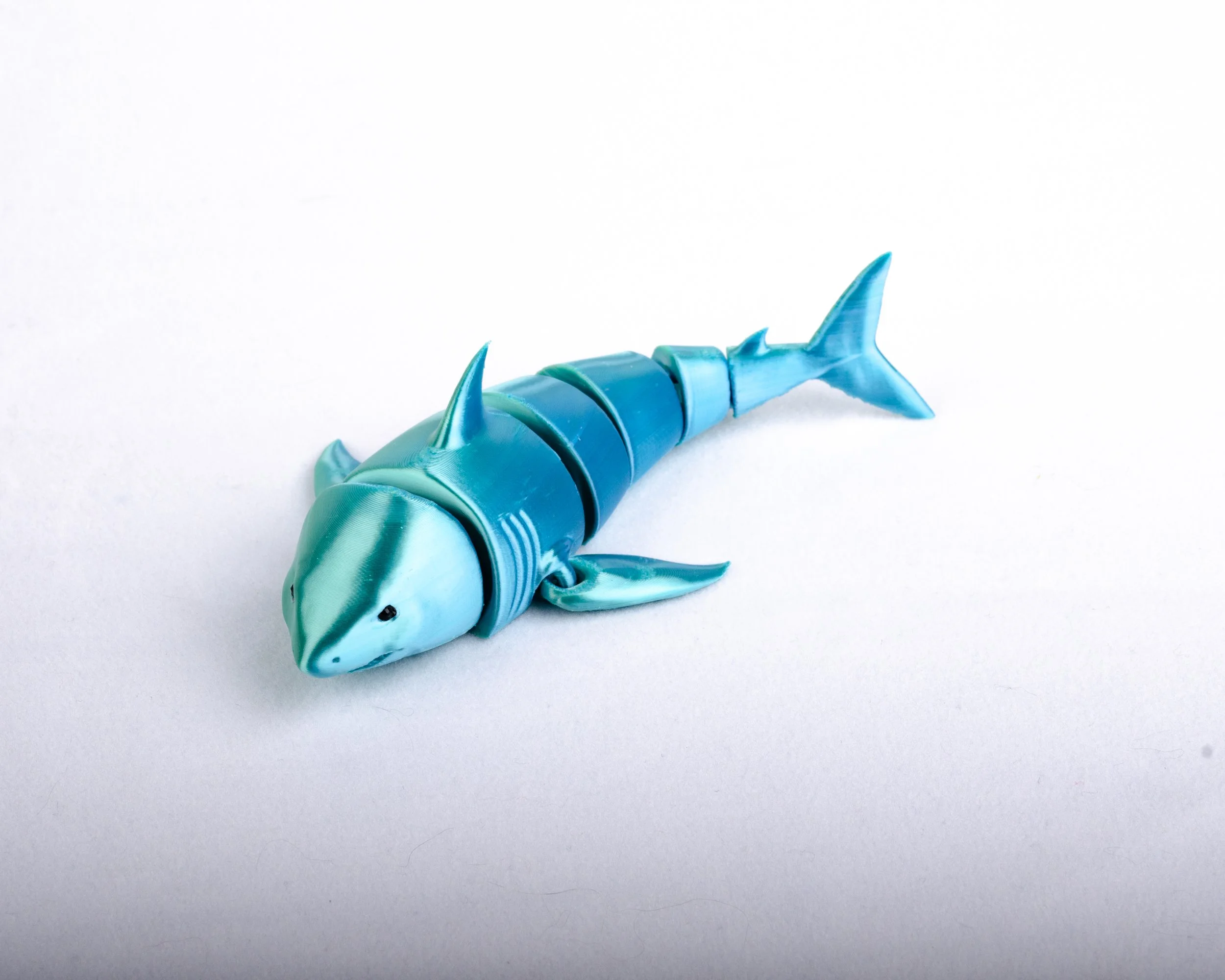 Shark Blue Green_3.jpg