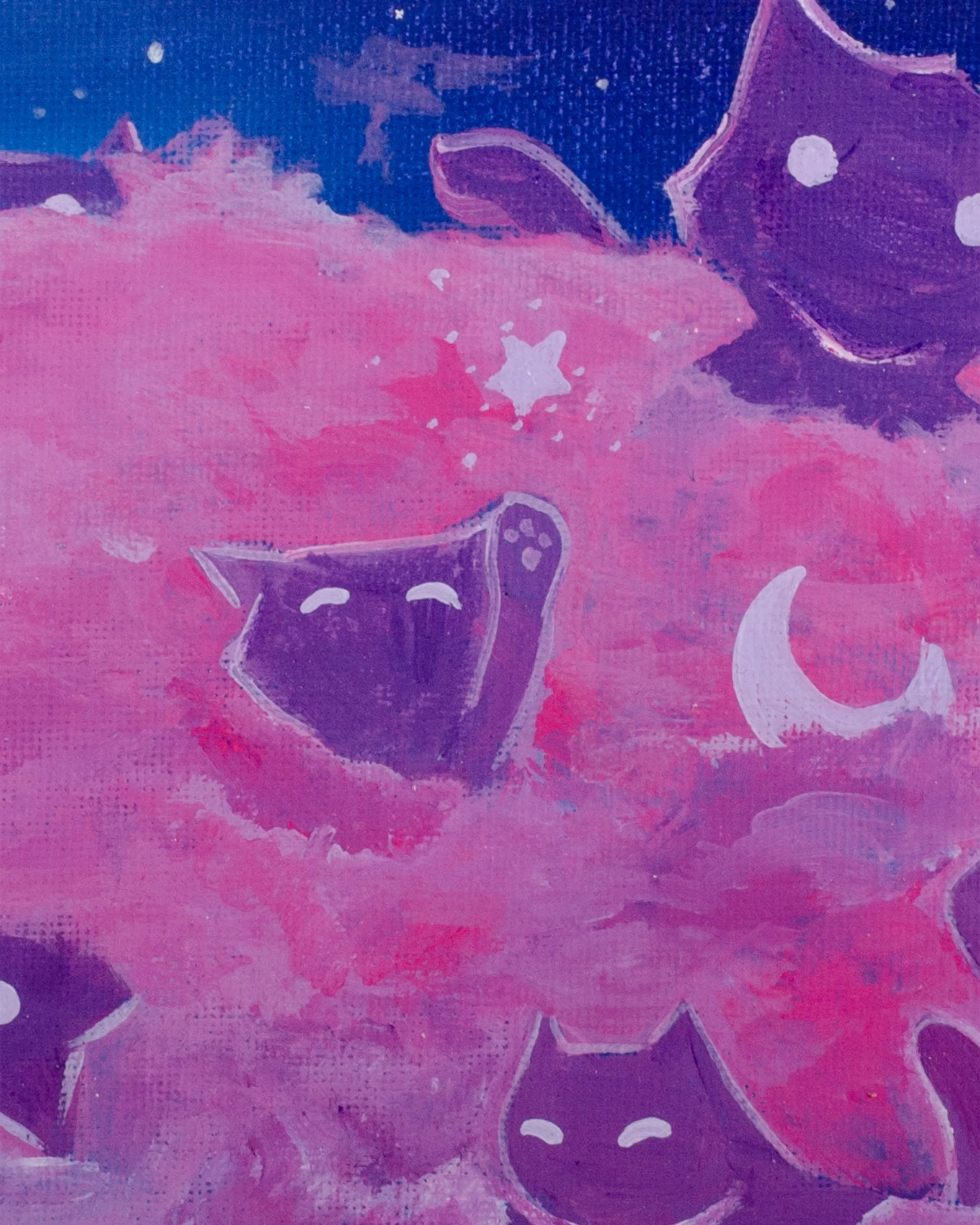 Kittens in the Clouds Closeups2.jpg