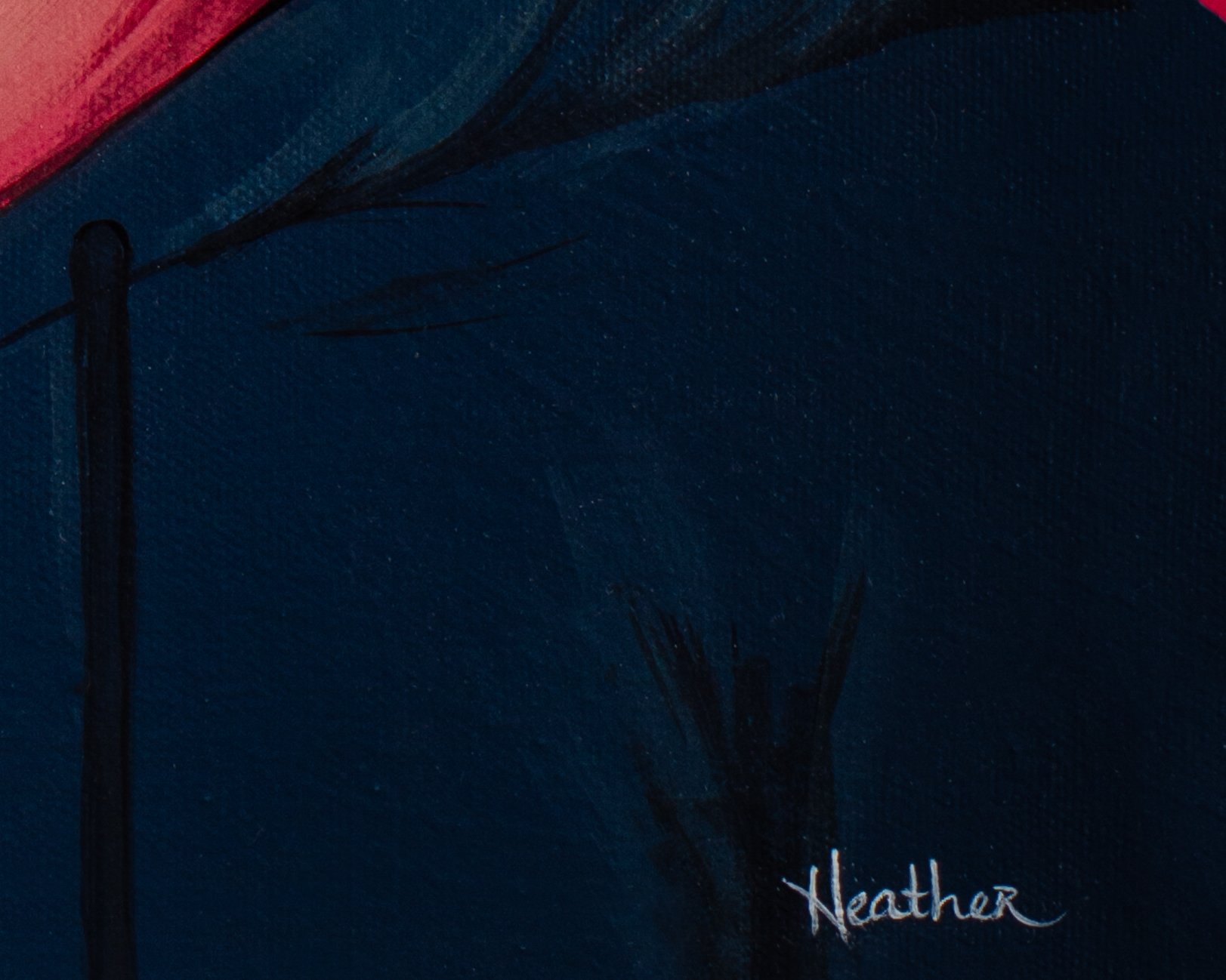 Day Dreamer Closeup 2.jpg