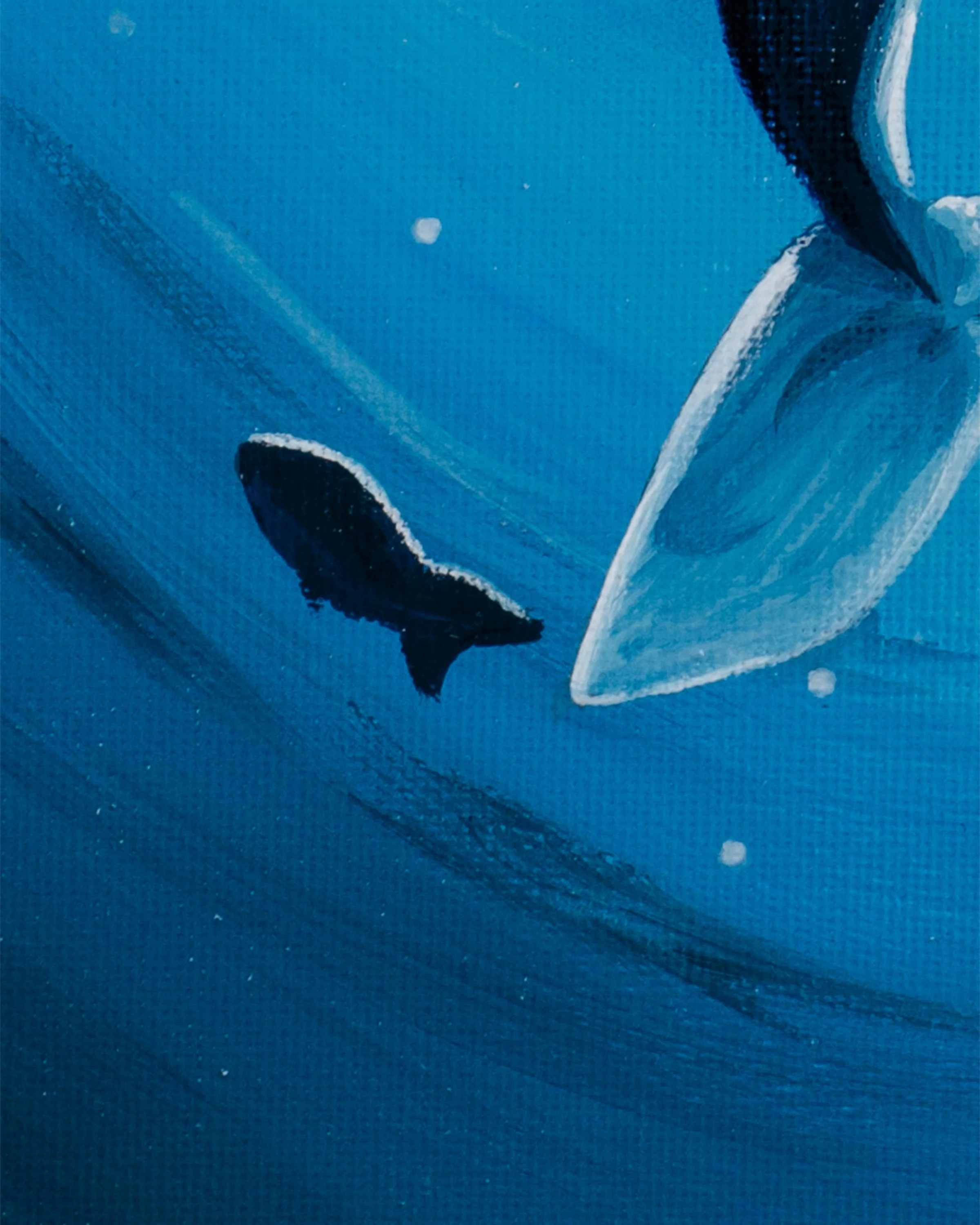 Whale Eclipse Closeup4.jpg