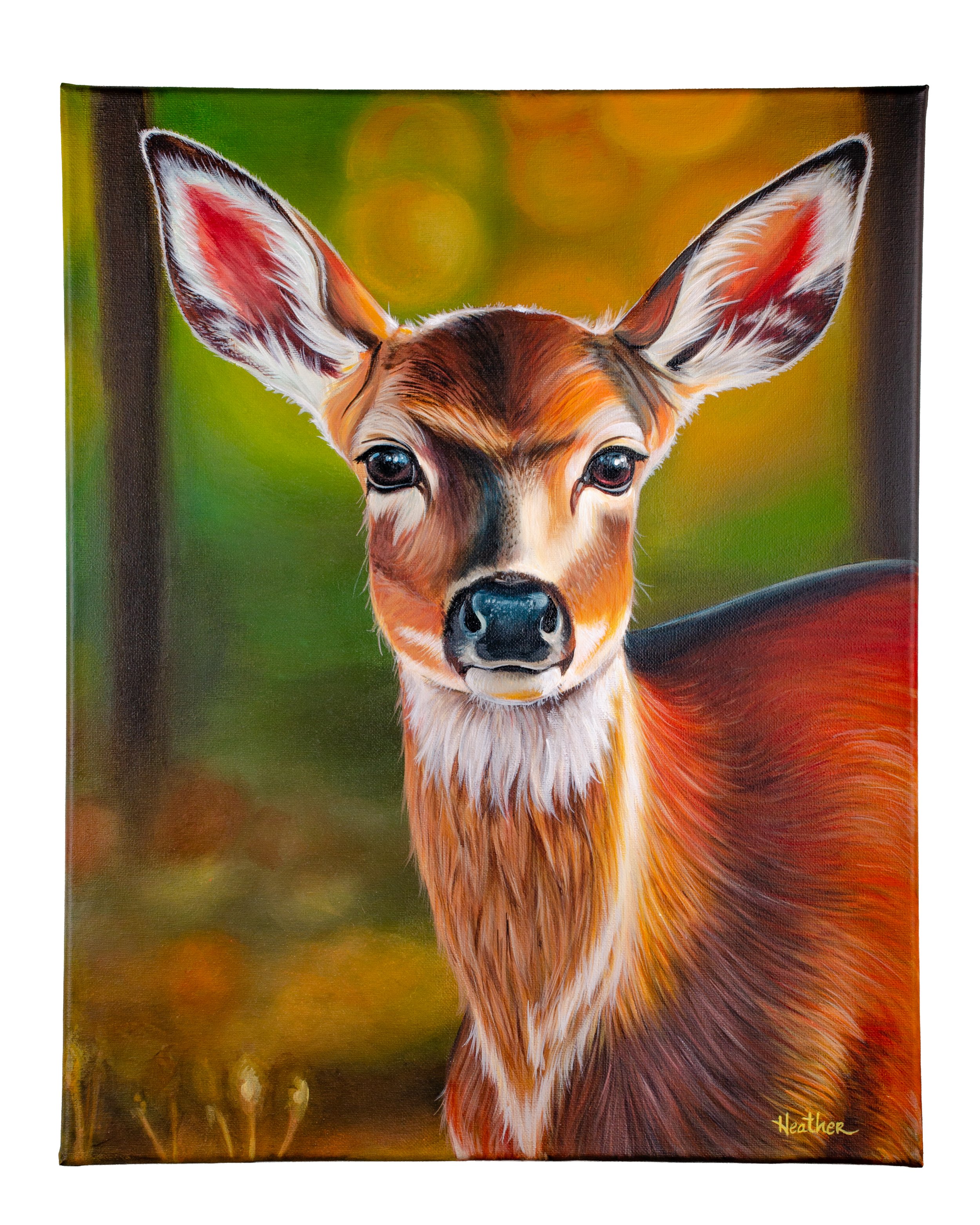 Deer in the Woods OG no bkg.jpg