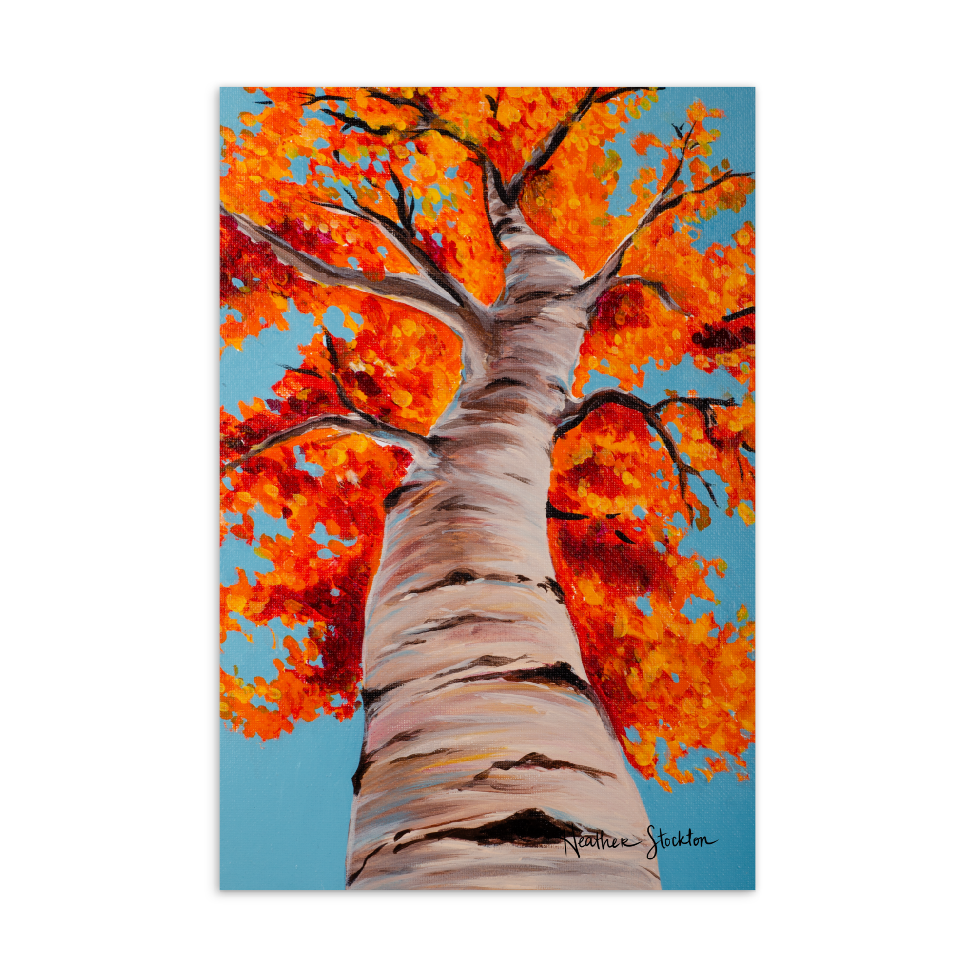 Up the Tree Post Card