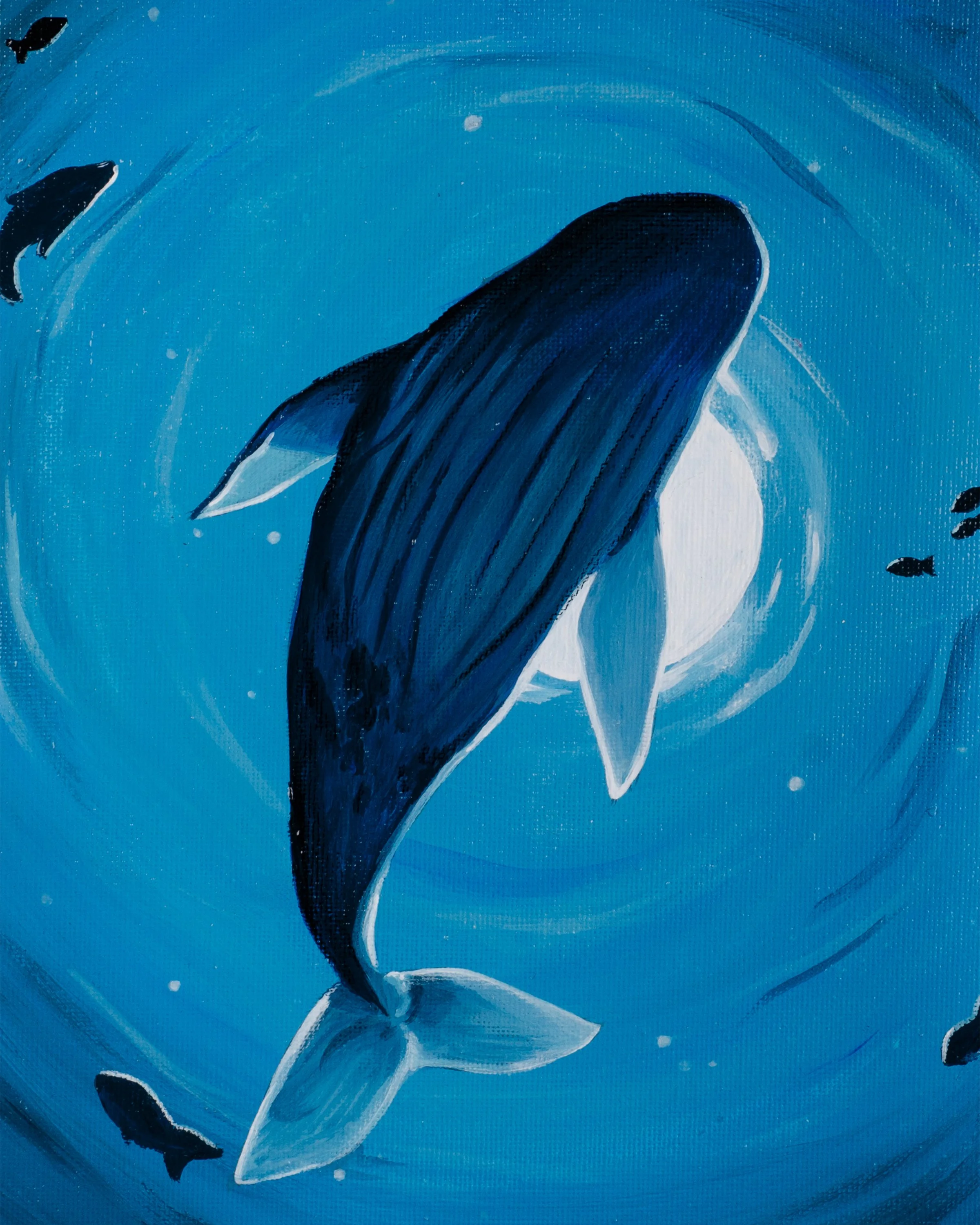 Whale Eclipse Closeup3.jpg