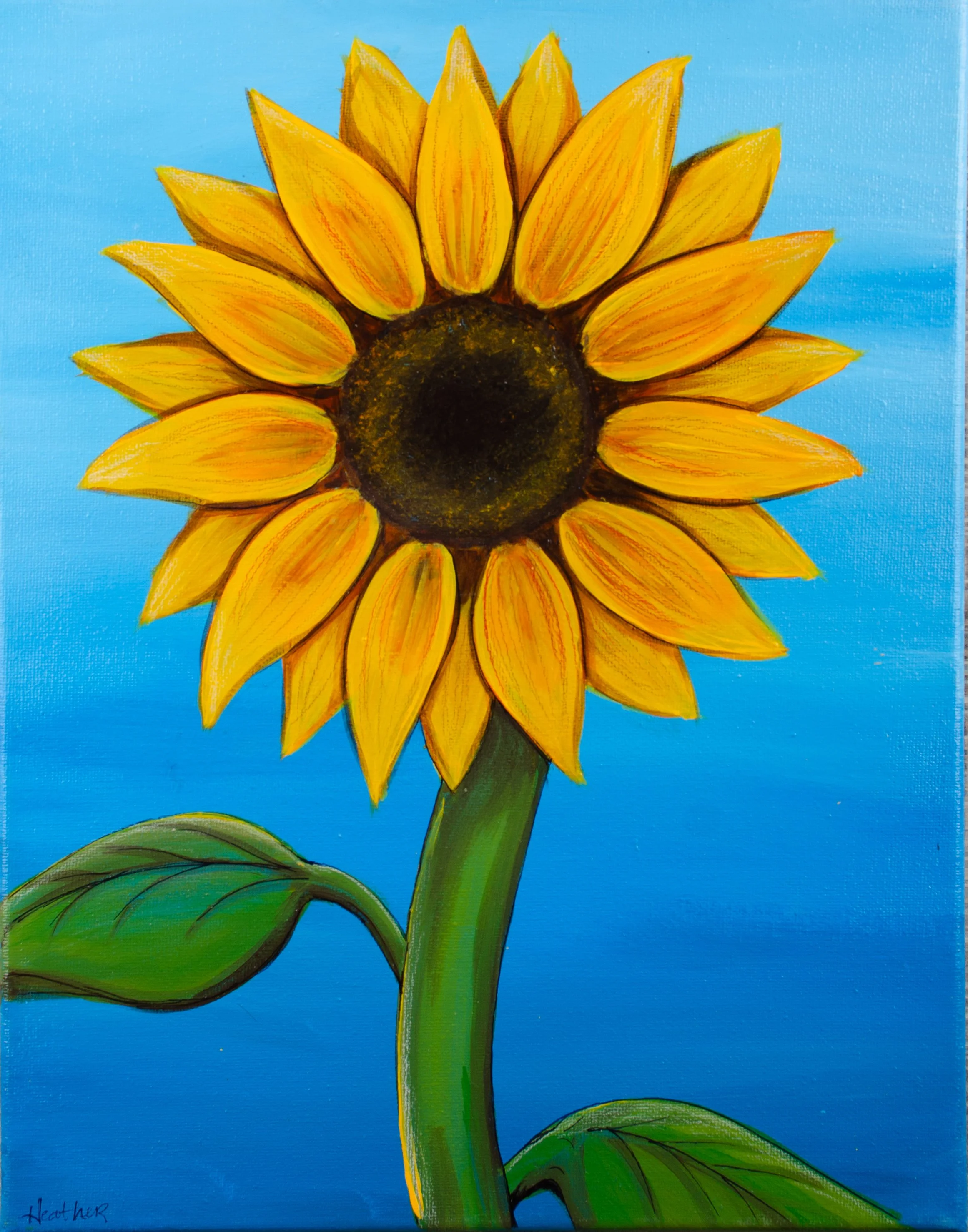 Sunflower