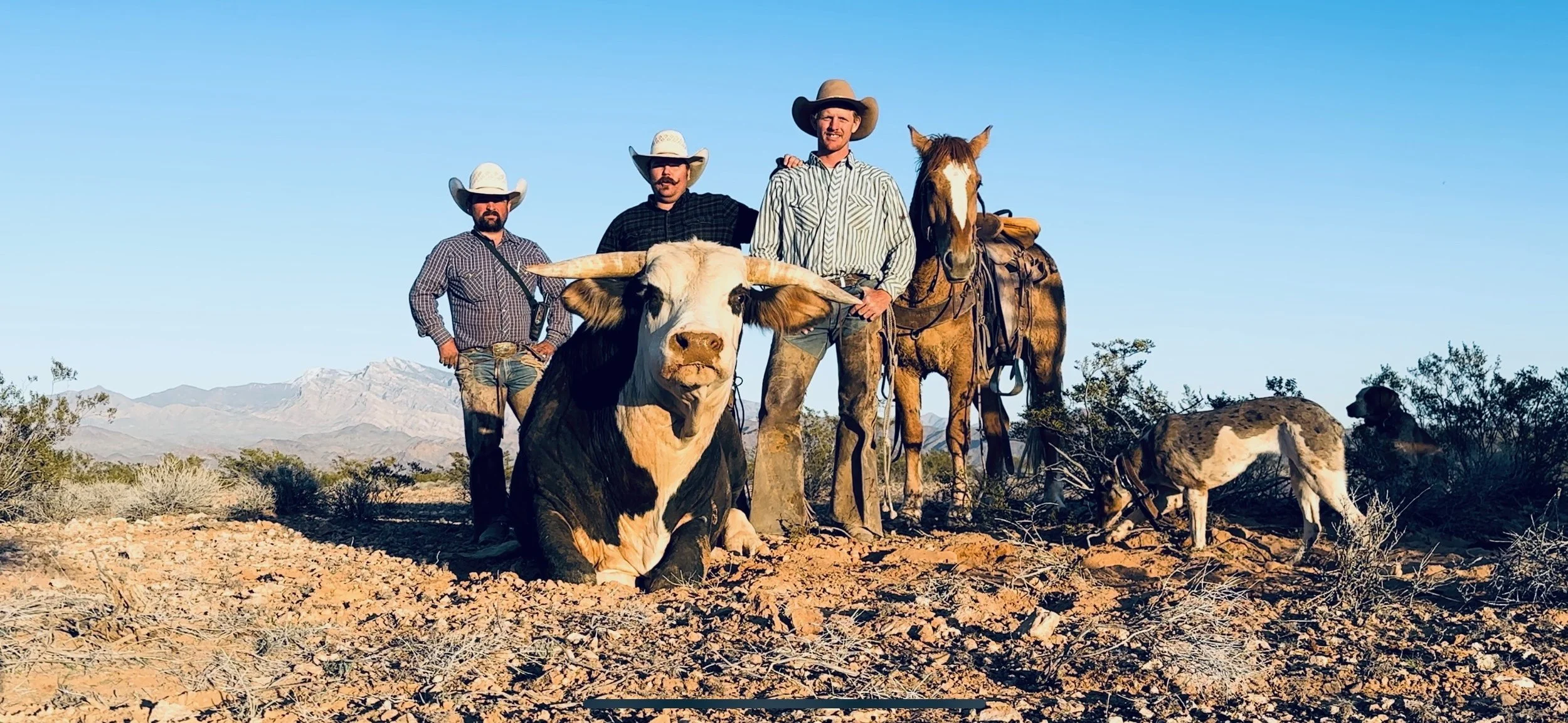 The Bundy Ranch | Discover Authentic Western Living