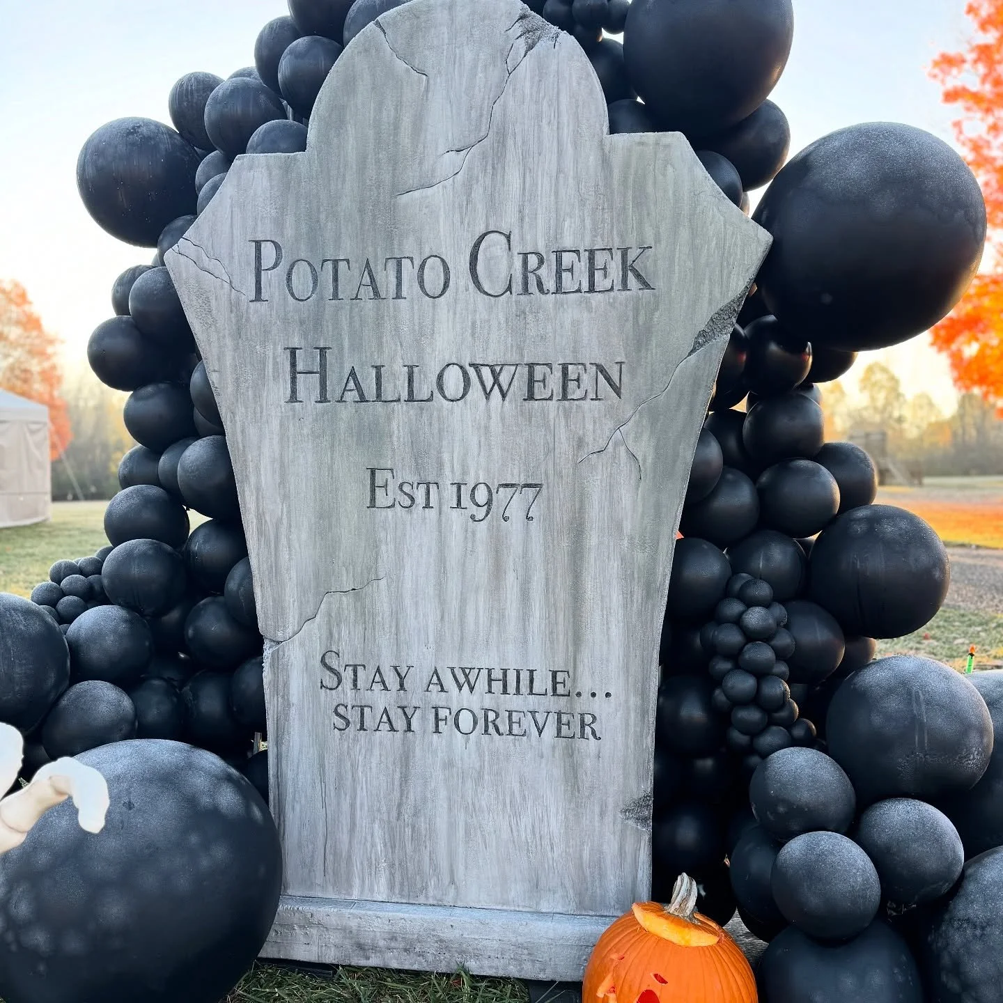 🎃✨ Throwback to last year&rsquo;s Potato Creek setup! It was so fun seeing everyone stop and snap photos with it! We&rsquo;re packing up and heading out for our annual trip, so email responses may be a little delayed while we&rsquo;re away.

I can&r