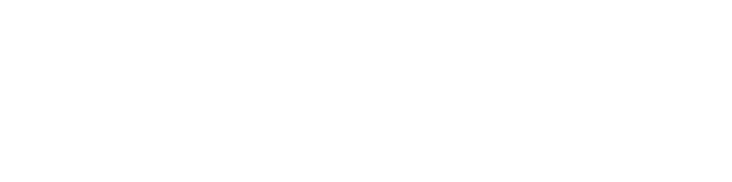 Rhonda Austin