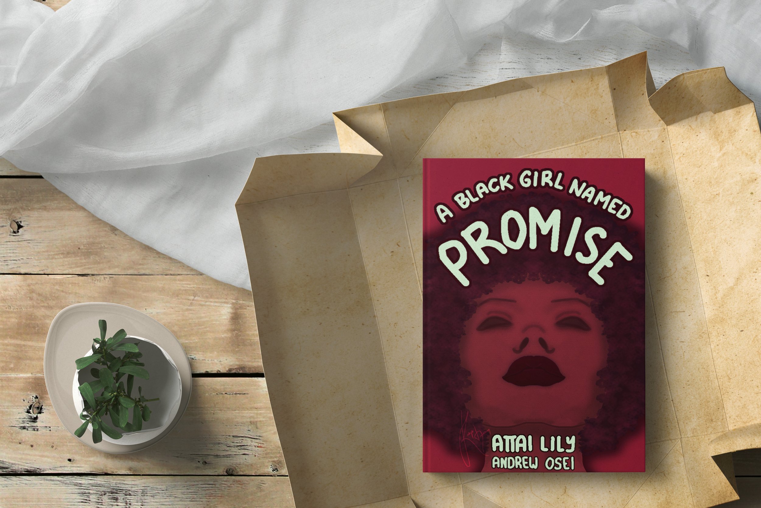 A Black Girl Named Promise