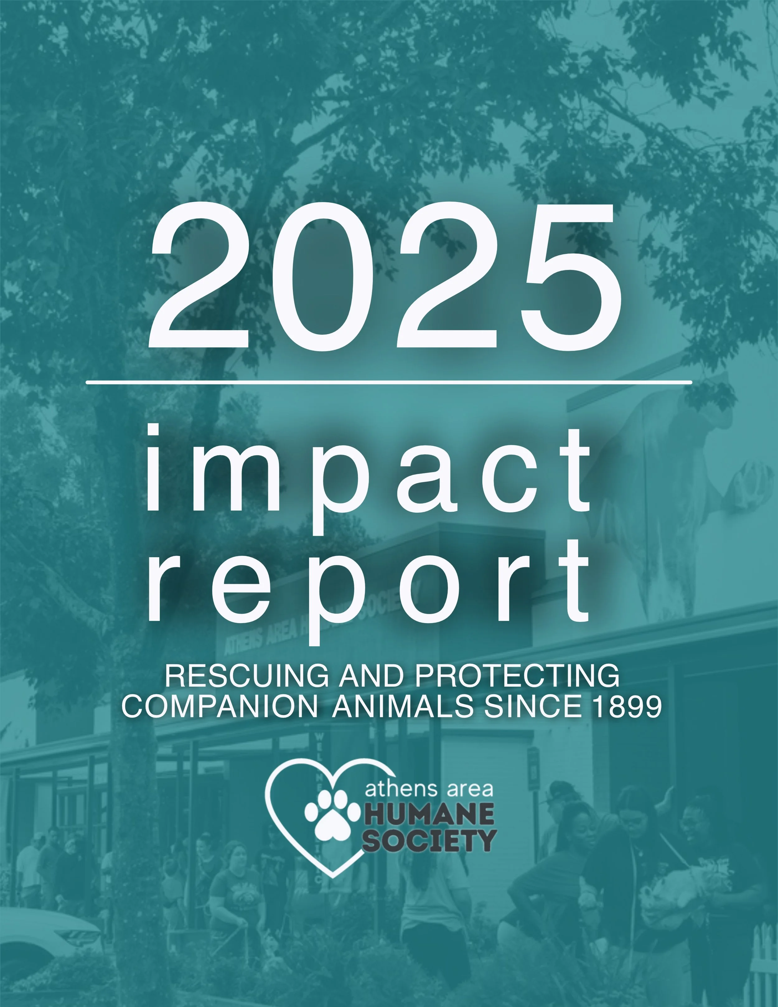 2025 Annual Report