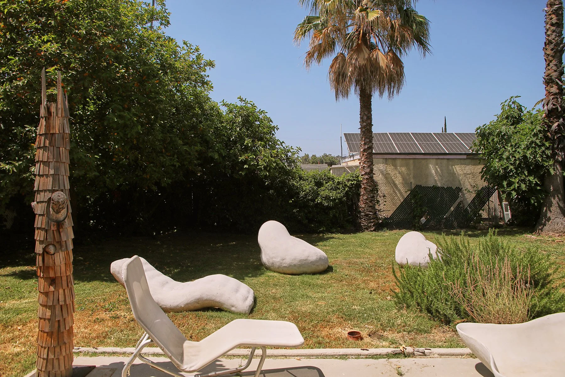 Backyard with lounge chairs, large palm trees, and sculpted concrete rocks, shaded by green bushes and trees on a sunny day.