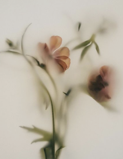 How Your Body Continues to Heal After Assisted Lymphatic Therapy