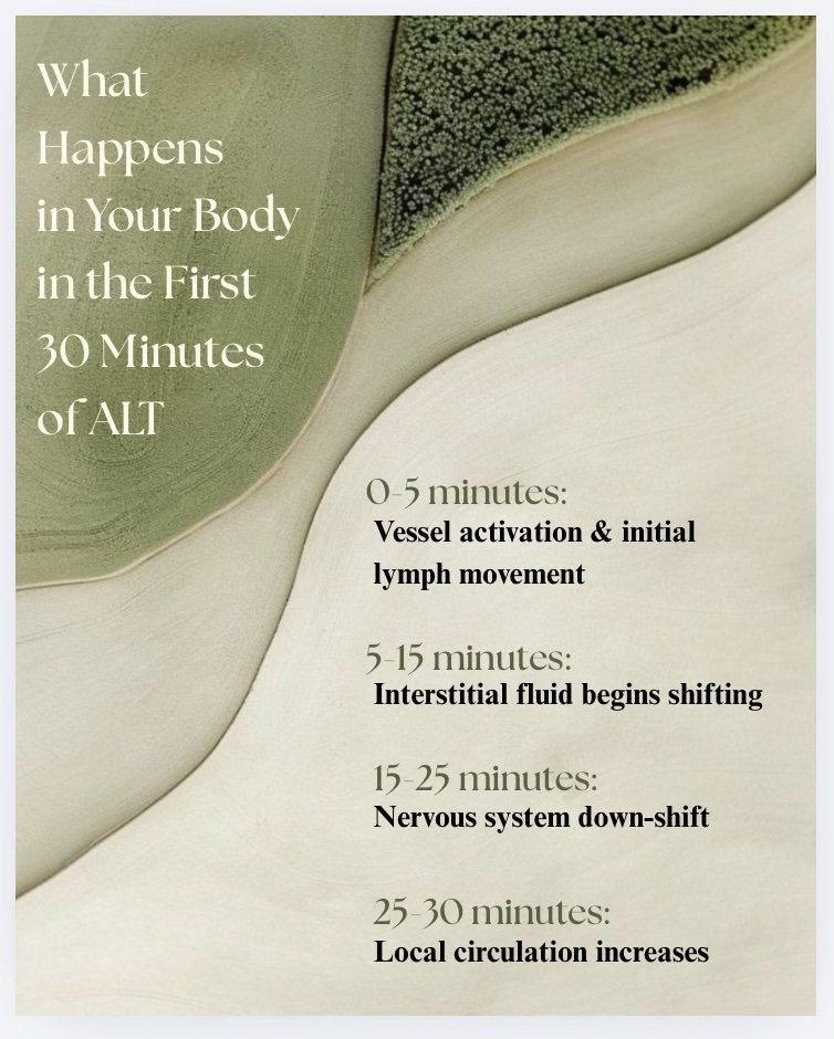 What happens in body the first 30 minutes of ALT session