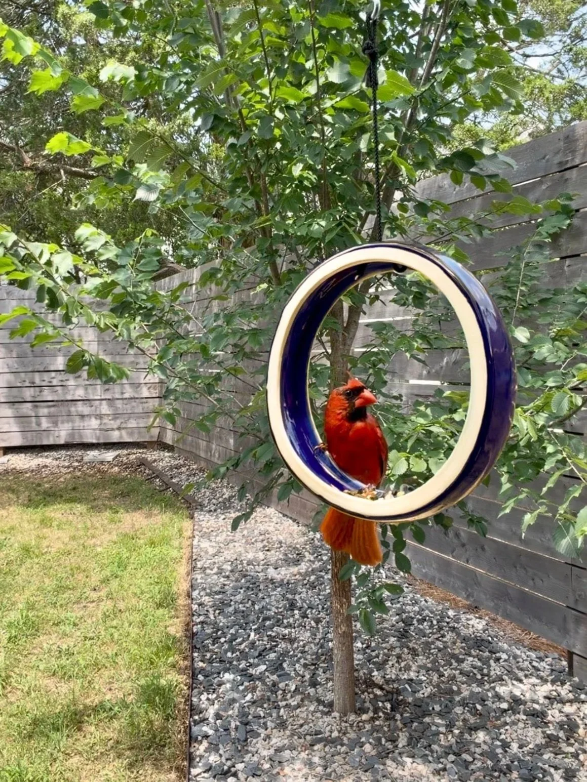 Wrecked Works makes minimalist design modern bird feeders with nationwide shipping.