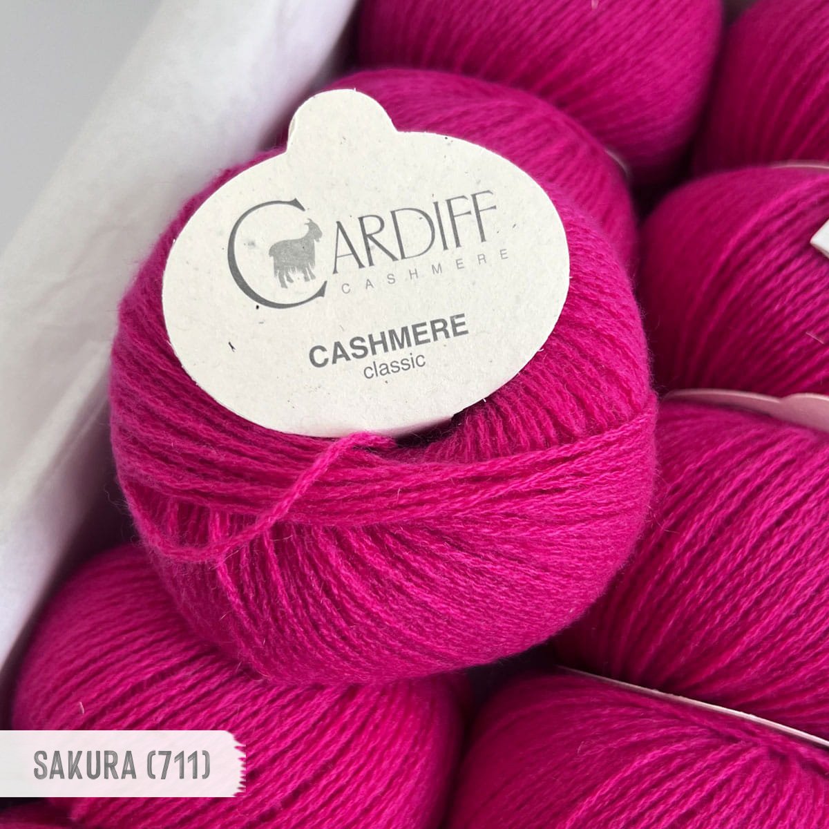 Cardiff_Cashmere_M4.jpg