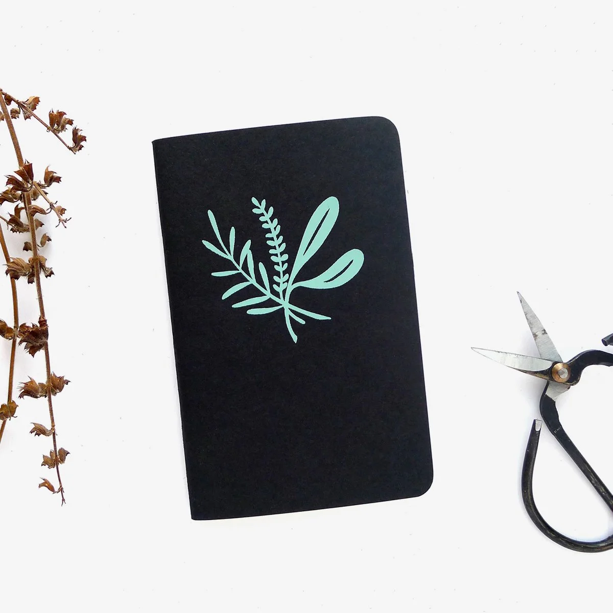 MD_Jotter_Herb_2.jpg