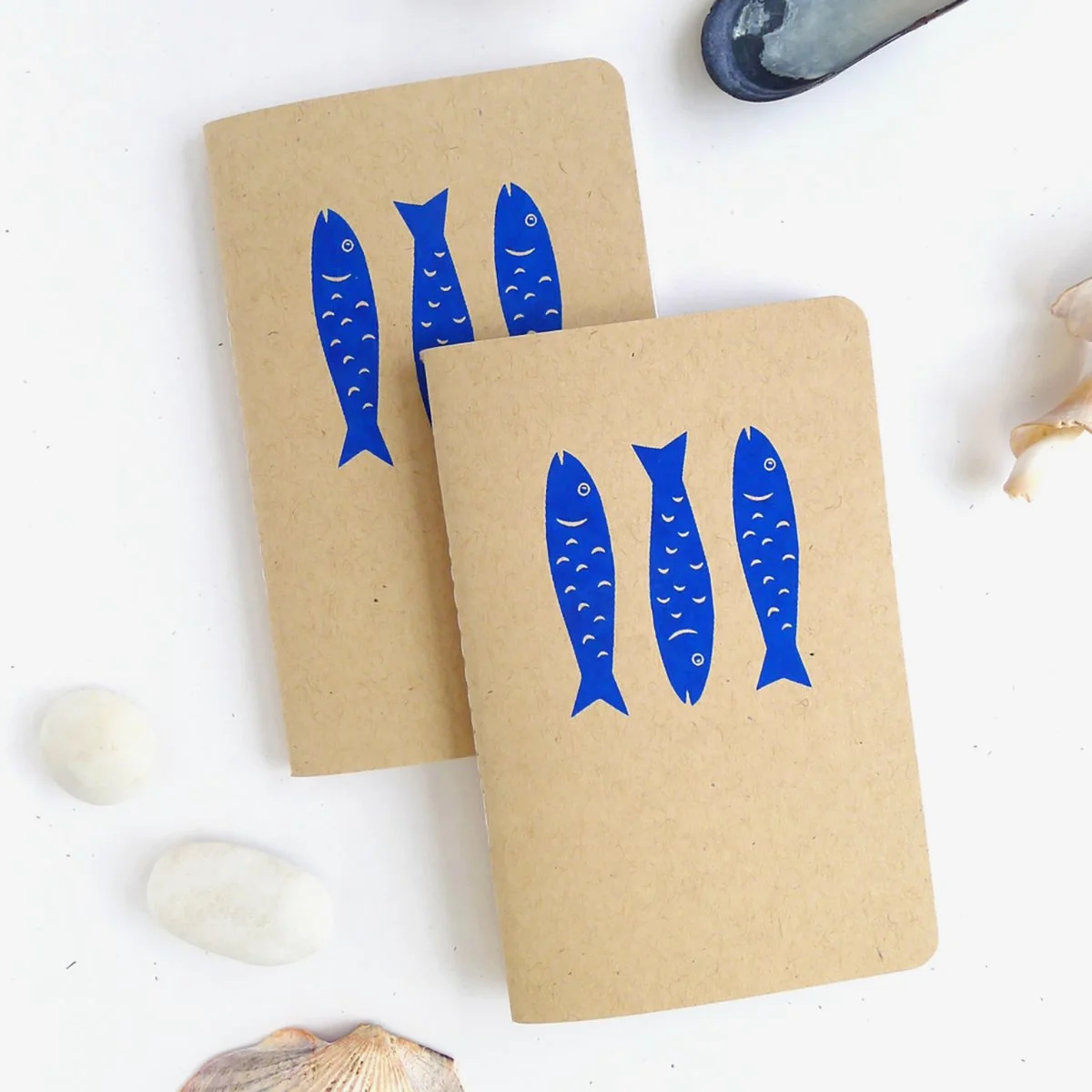 MD_Jotter_Fish_2.jpg