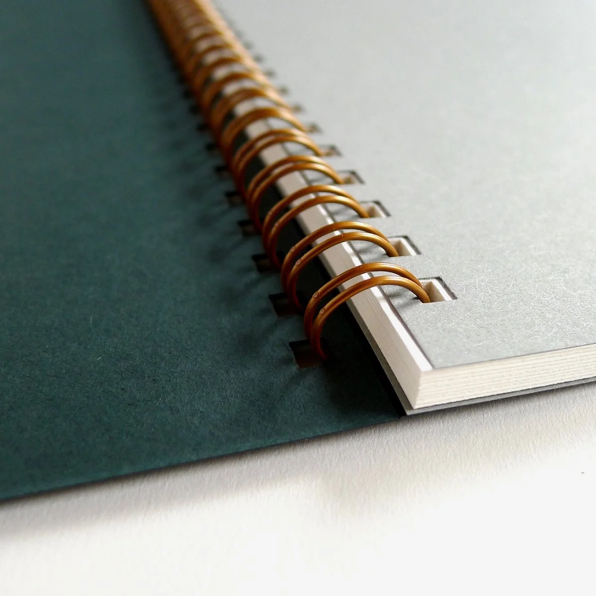 MD_Notebook_Dandelion_5.jpg