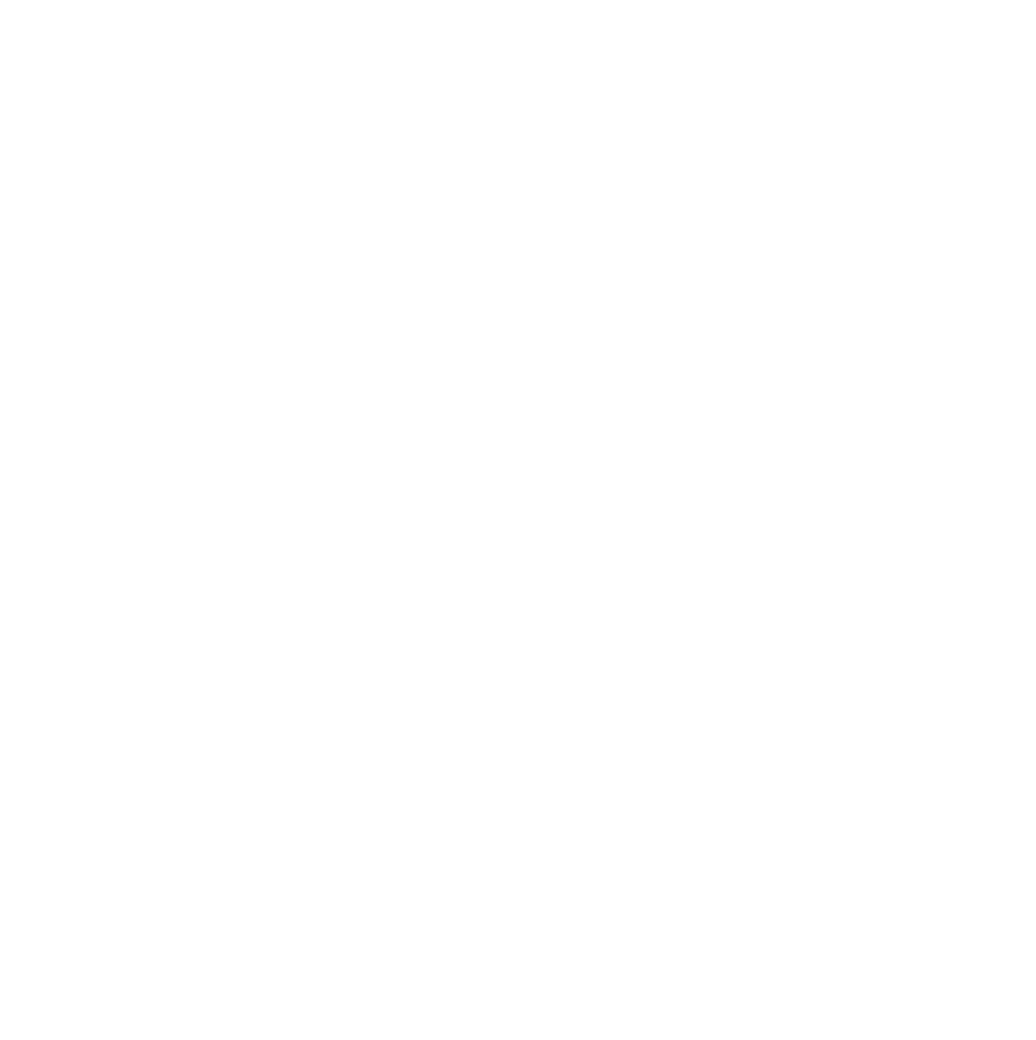 Master Painters Australia Queensland members logo